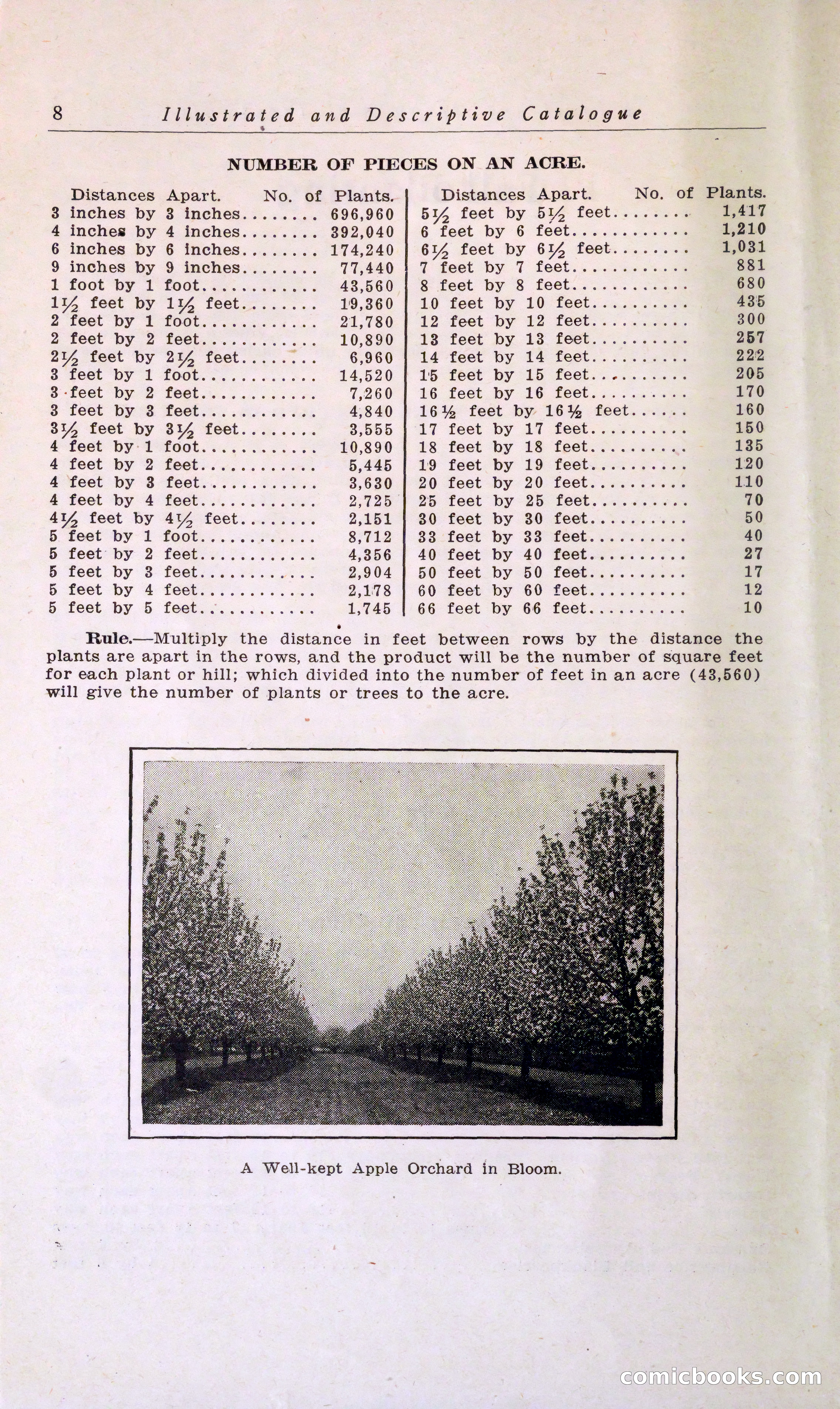 Blue Book of Hardy Trees, Shrubs & Plants — page 12 of 134