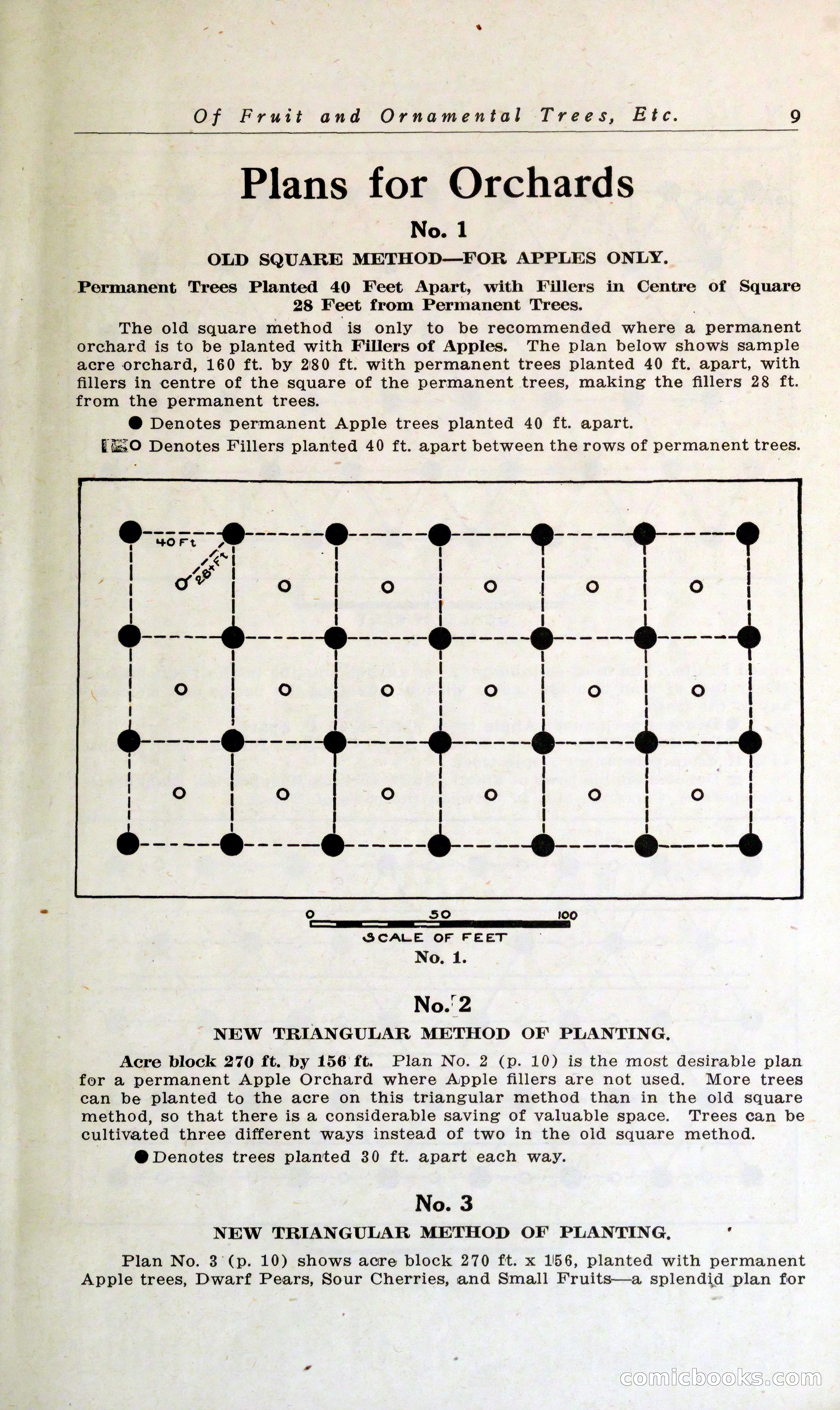 Blue Book of Hardy Trees, Shrubs & Plants — page 13 of 134