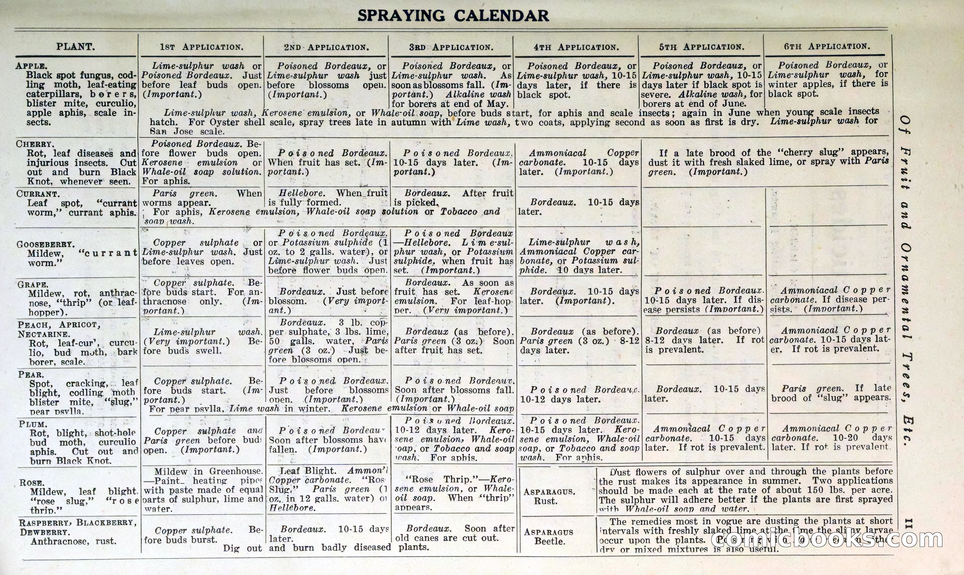 Blue Book of Hardy Trees, Shrubs & Plants — page 15 of 134