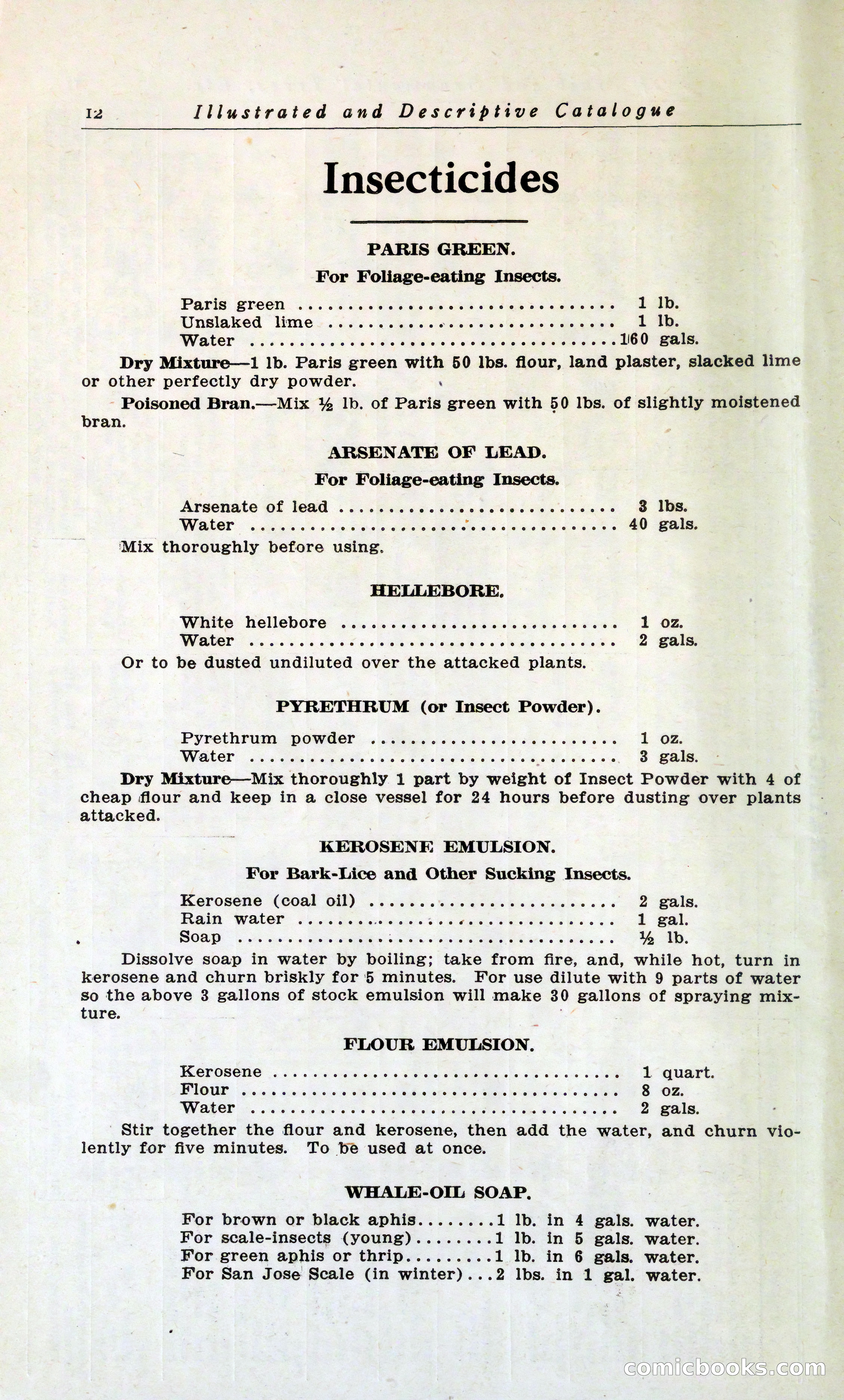 Blue Book of Hardy Trees, Shrubs & Plants — page 16 of 134