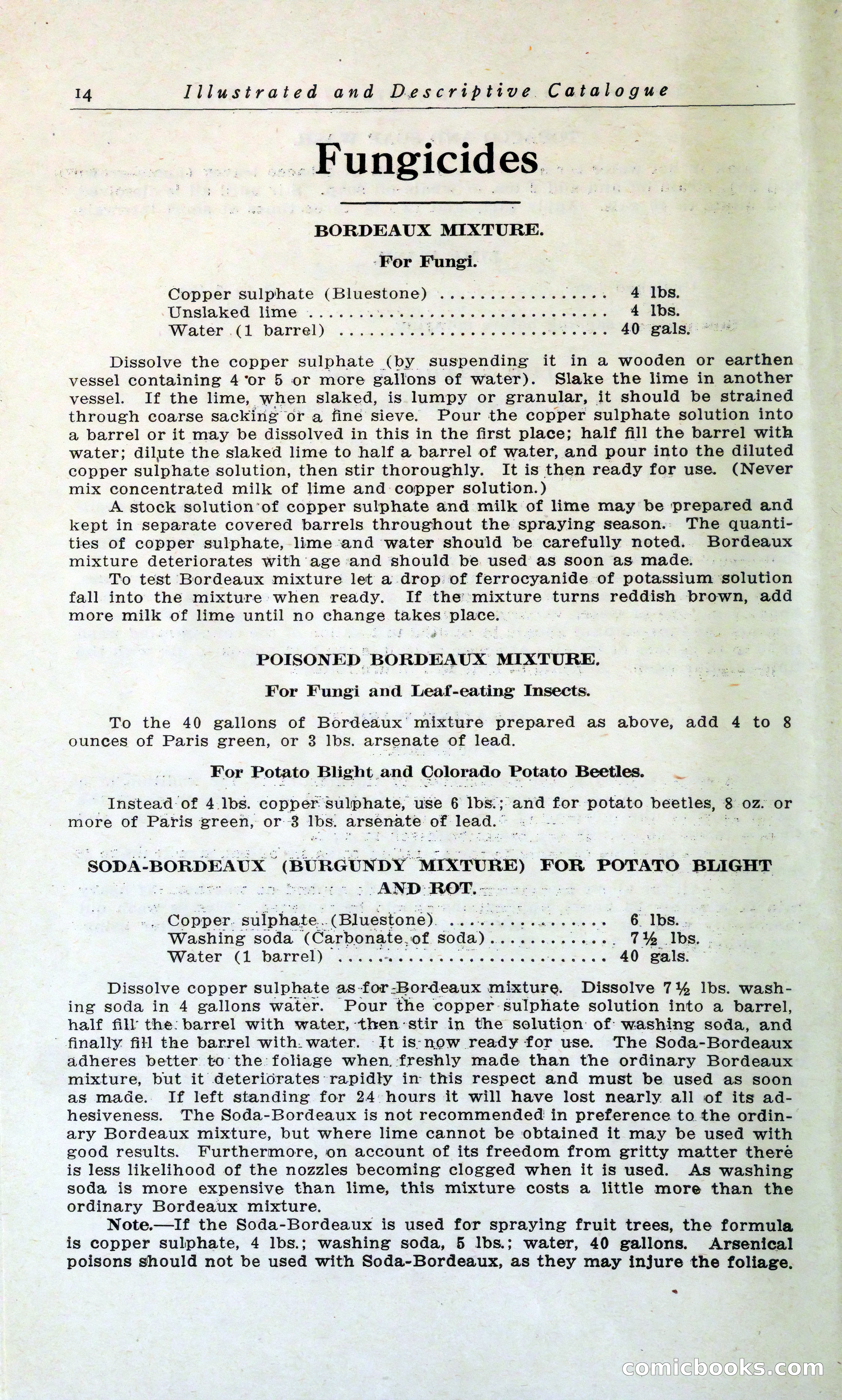 Blue Book of Hardy Trees, Shrubs & Plants — page 18 of 134