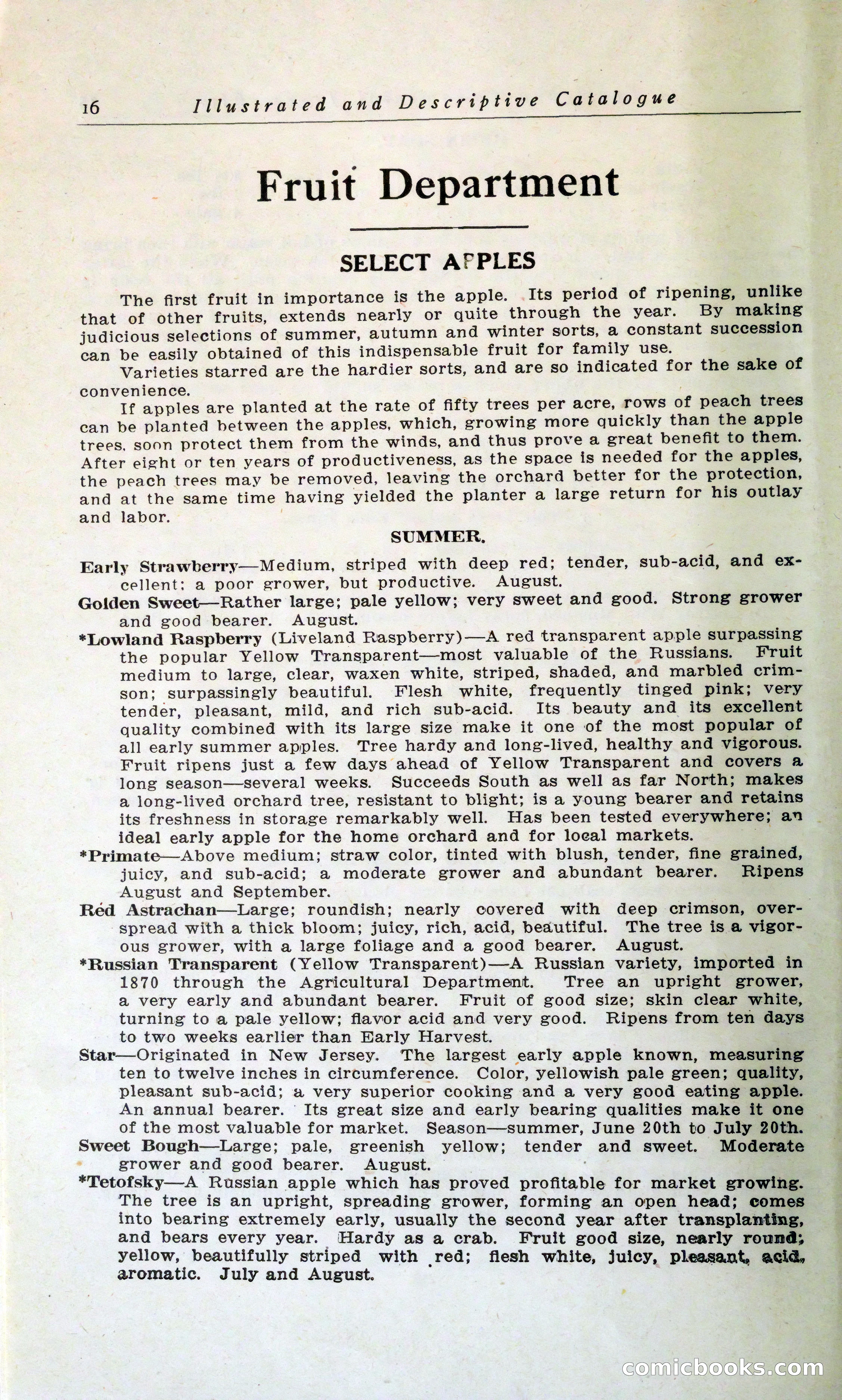 Blue Book of Hardy Trees, Shrubs & Plants — page 20 of 134