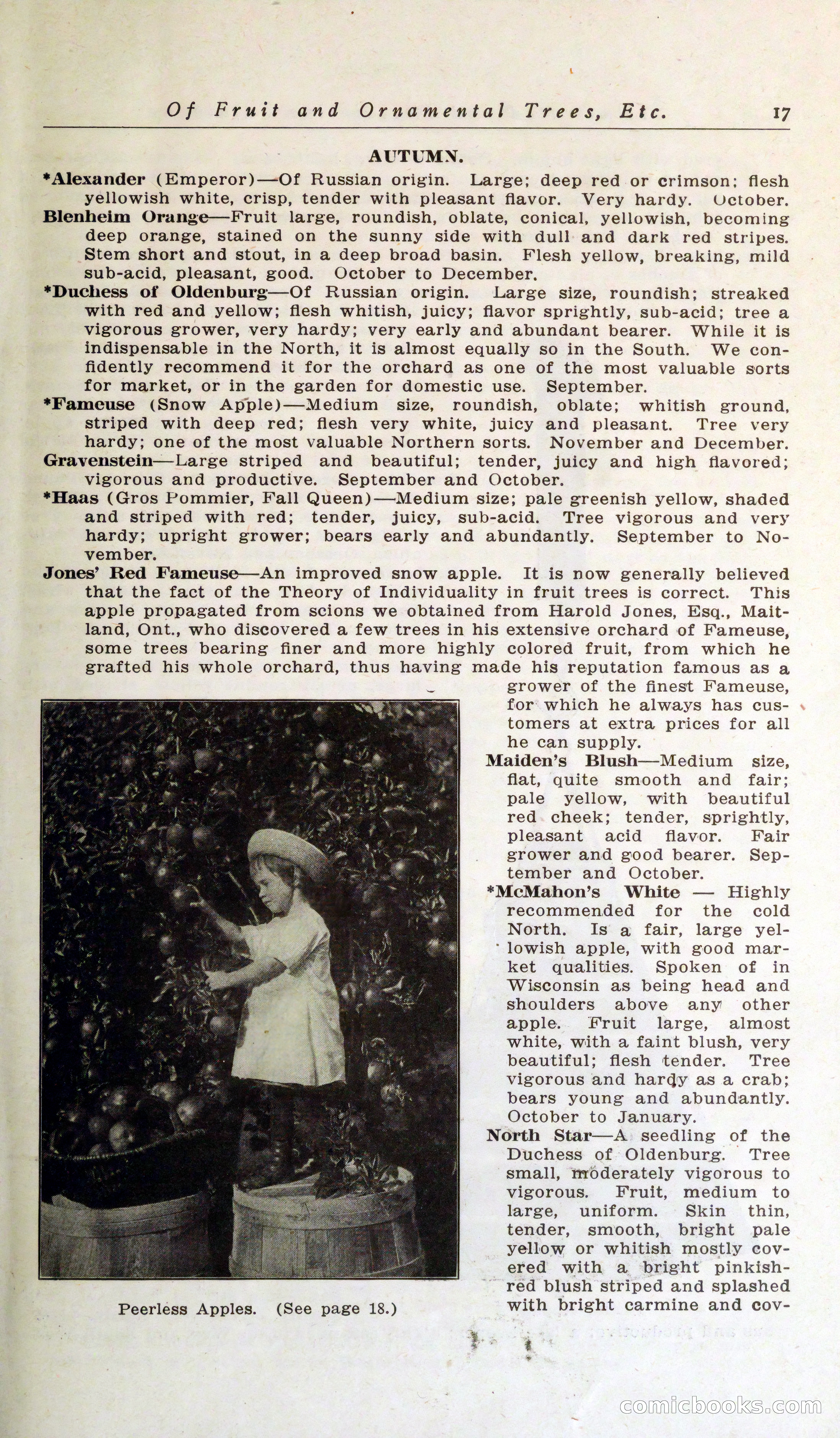 Blue Book of Hardy Trees, Shrubs & Plants — page 21 of 134