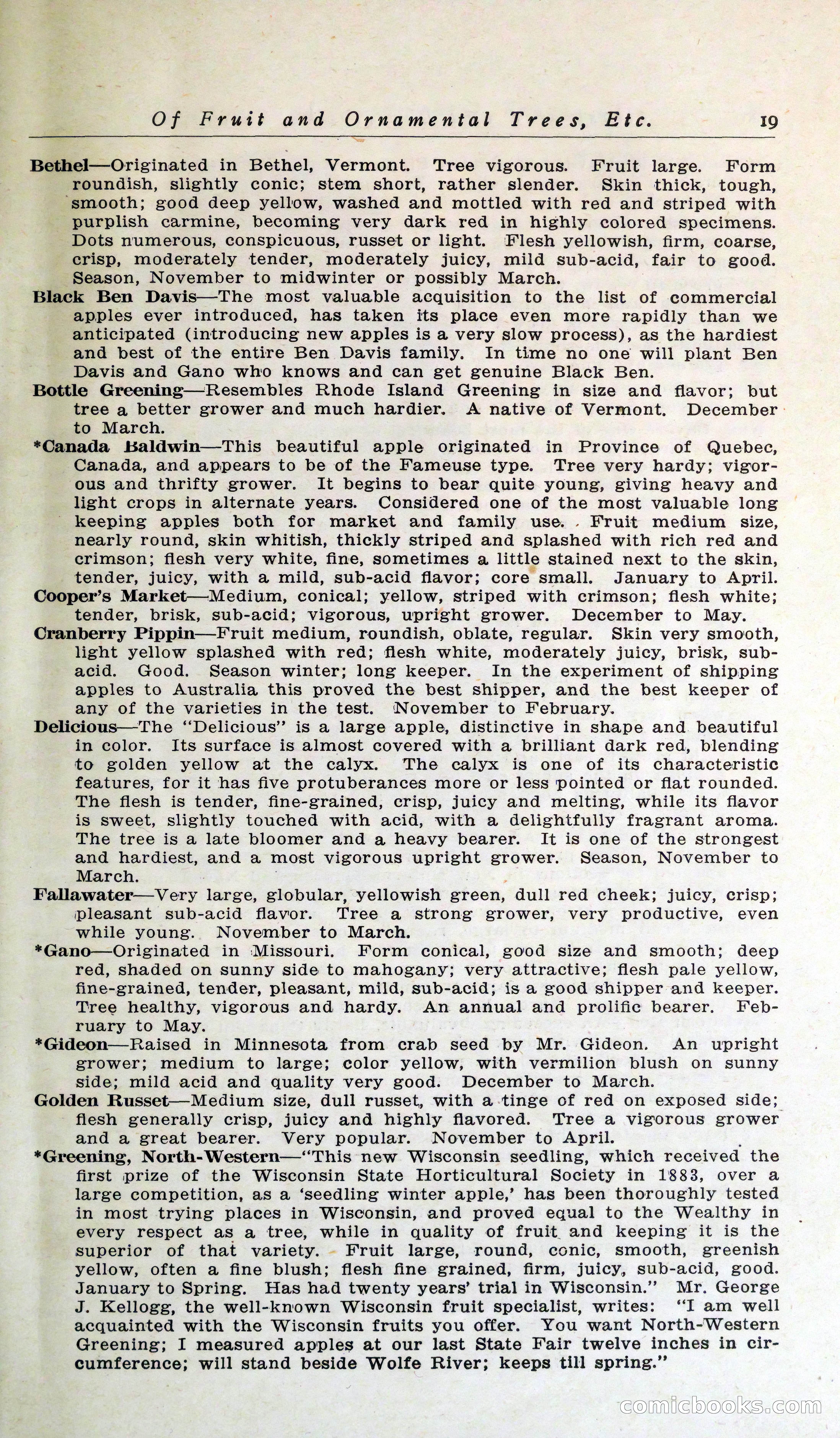 Blue Book of Hardy Trees, Shrubs & Plants — page 23 of 134
