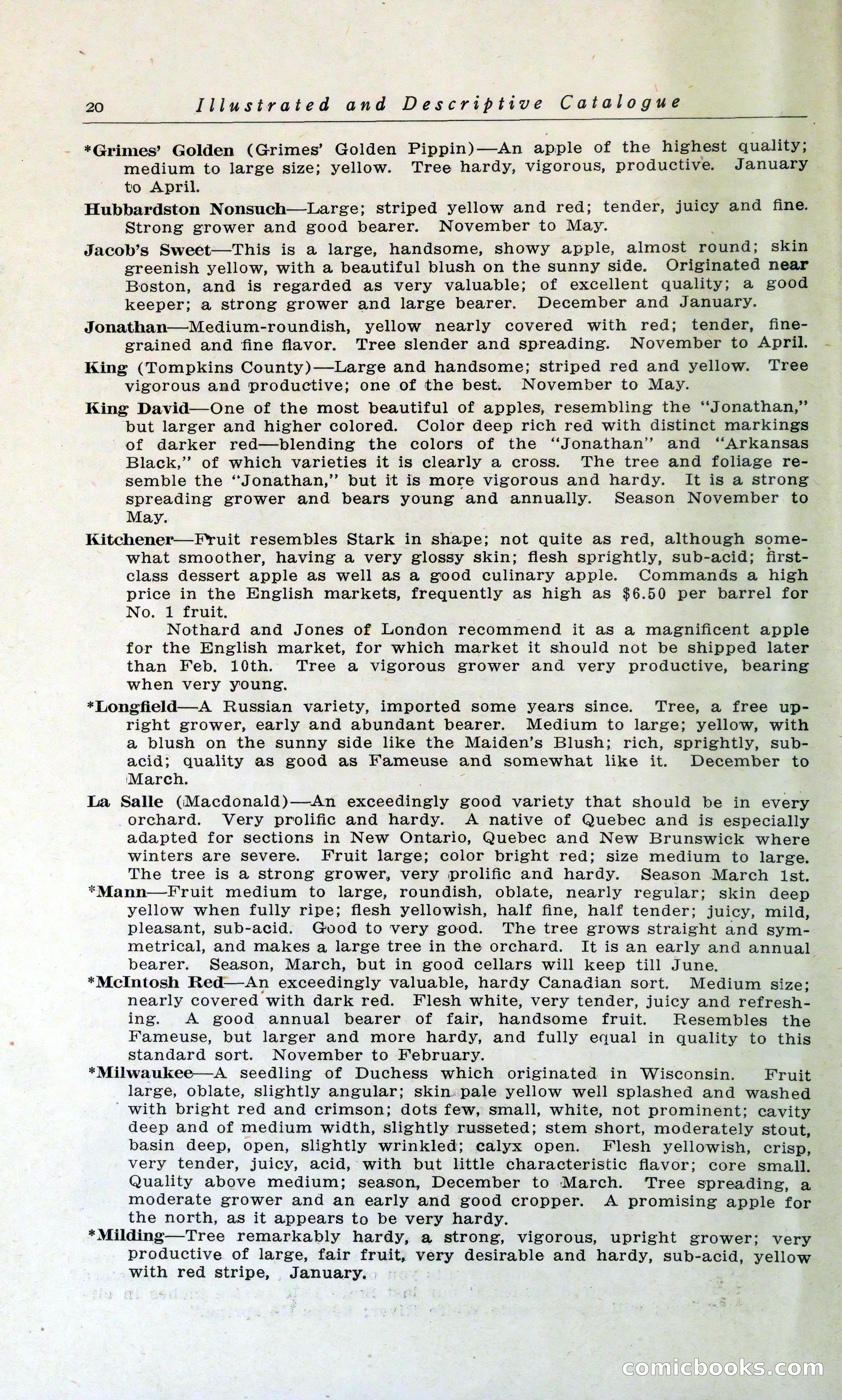 Blue Book of Hardy Trees, Shrubs & Plants — page 24 of 134