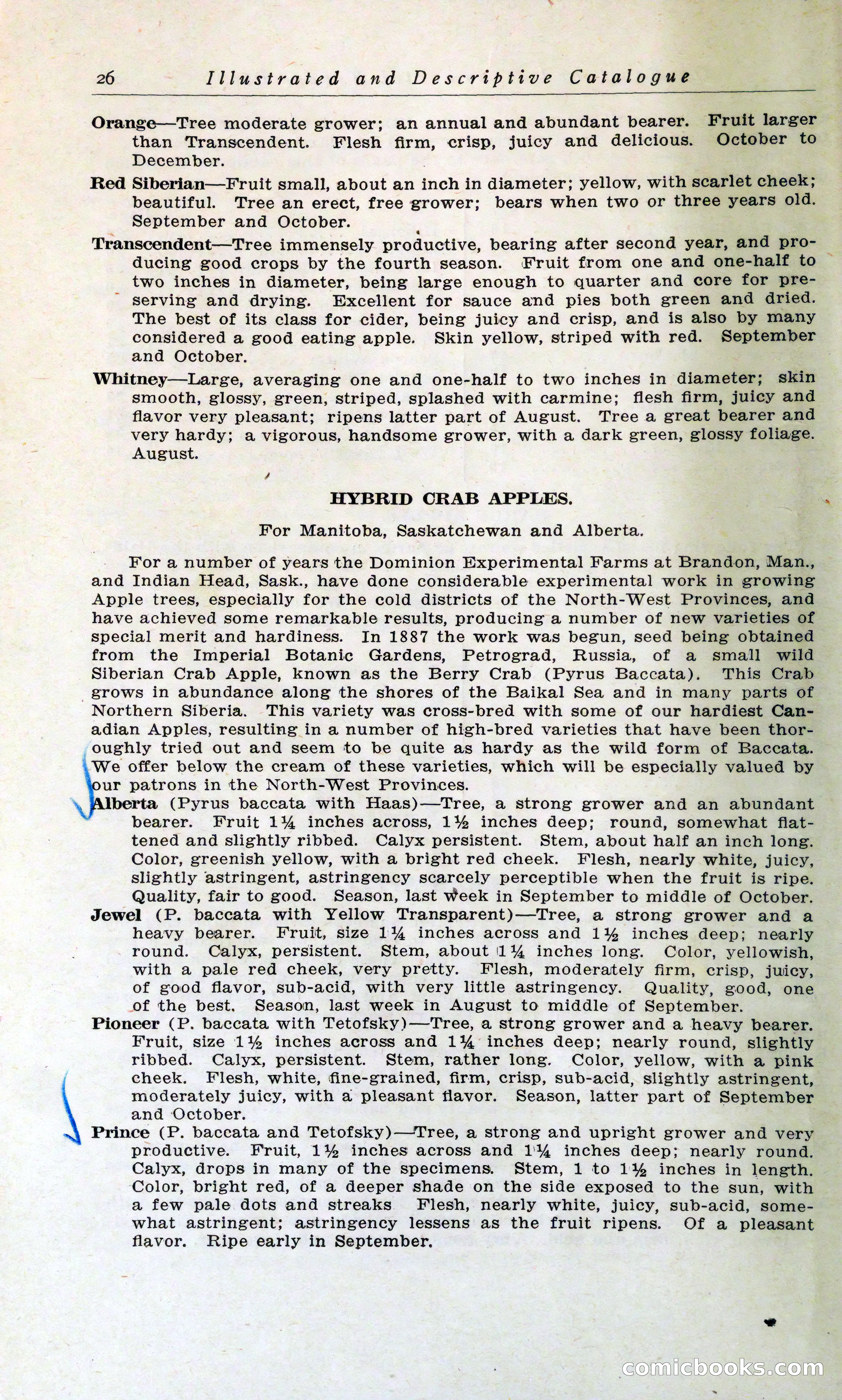 Blue Book of Hardy Trees, Shrubs & Plants — page 30 of 134