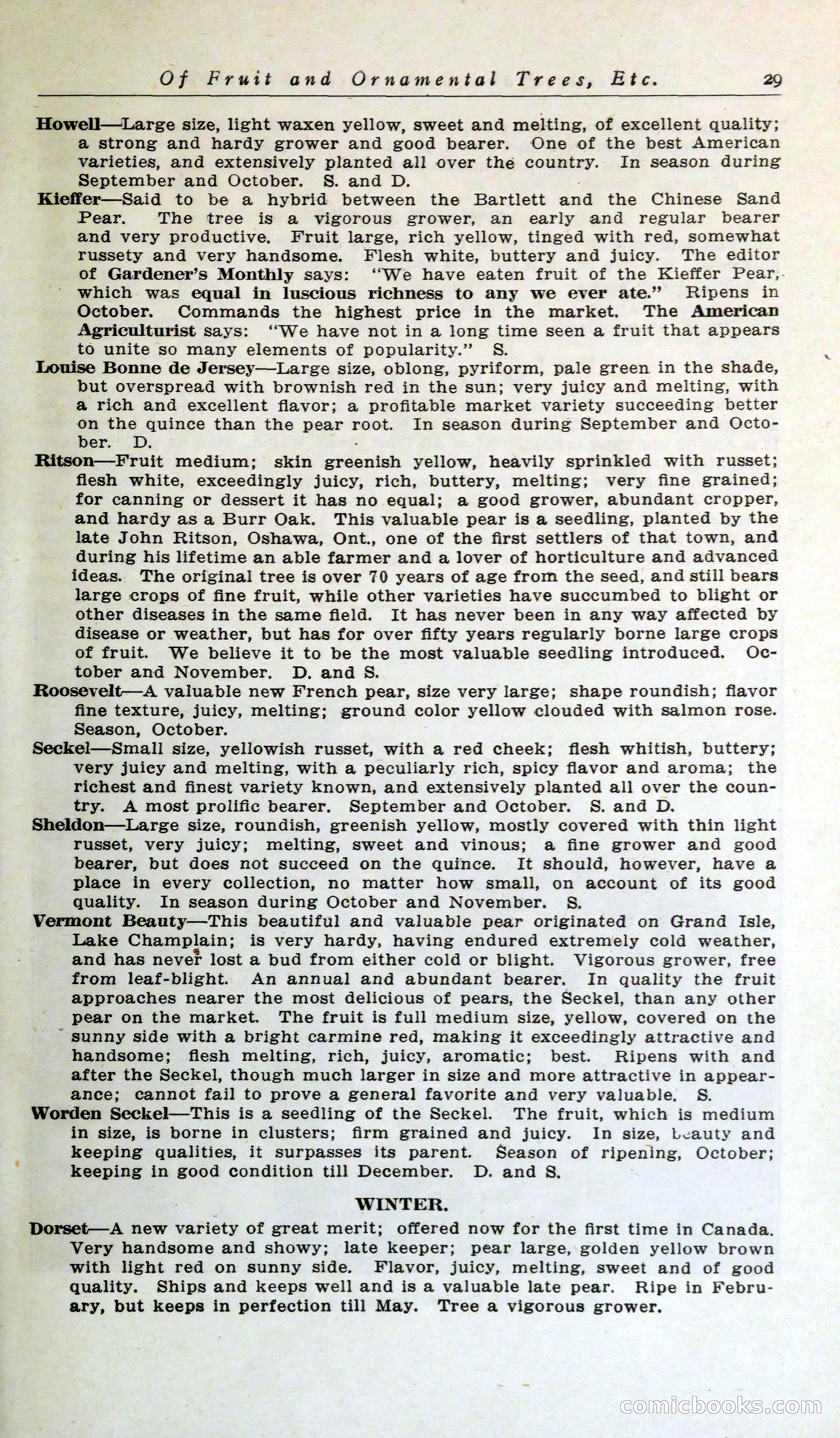 Blue Book of Hardy Trees, Shrubs & Plants — page 33 of 134