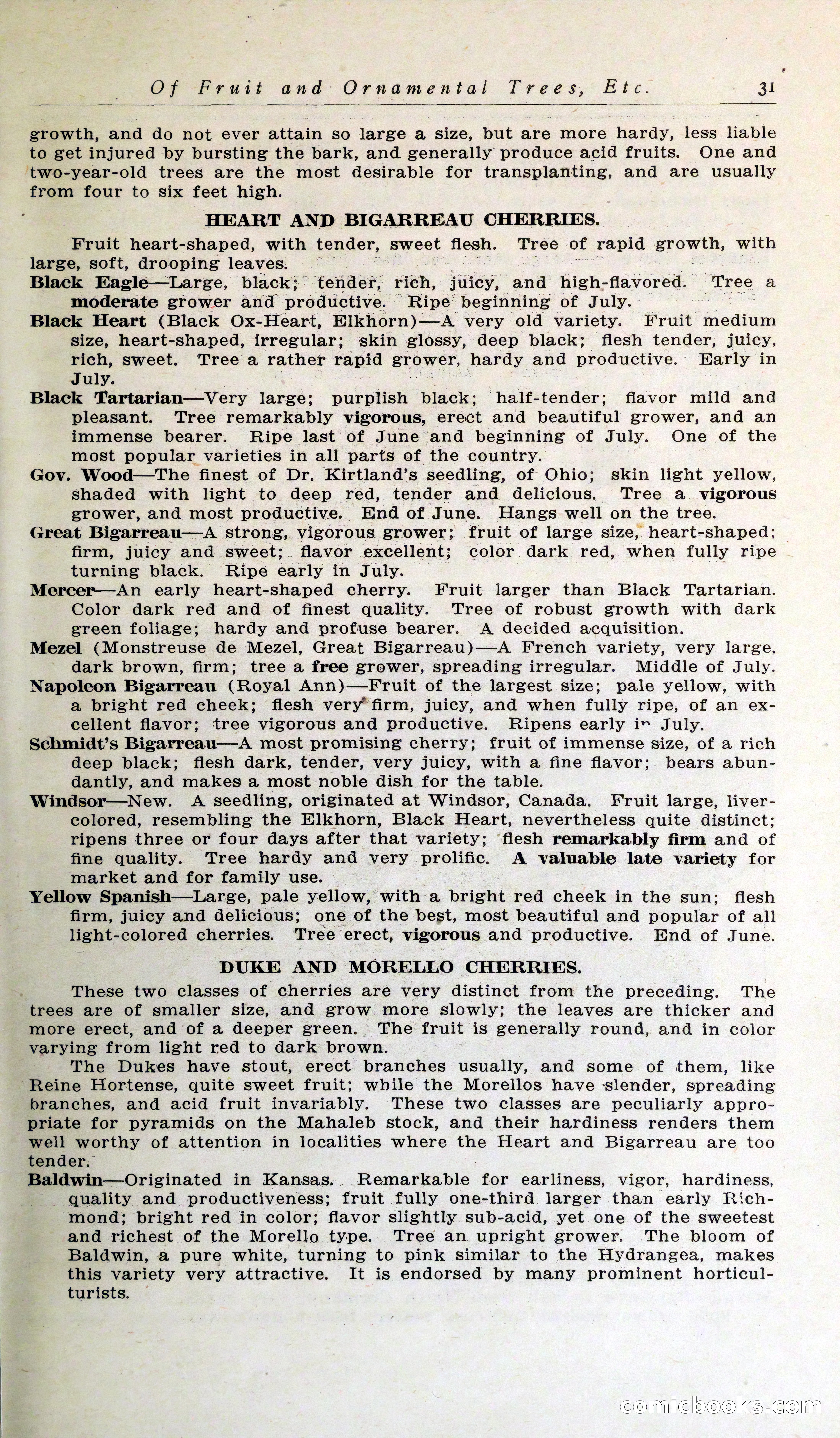 Blue Book of Hardy Trees, Shrubs & Plants — page 35 of 134