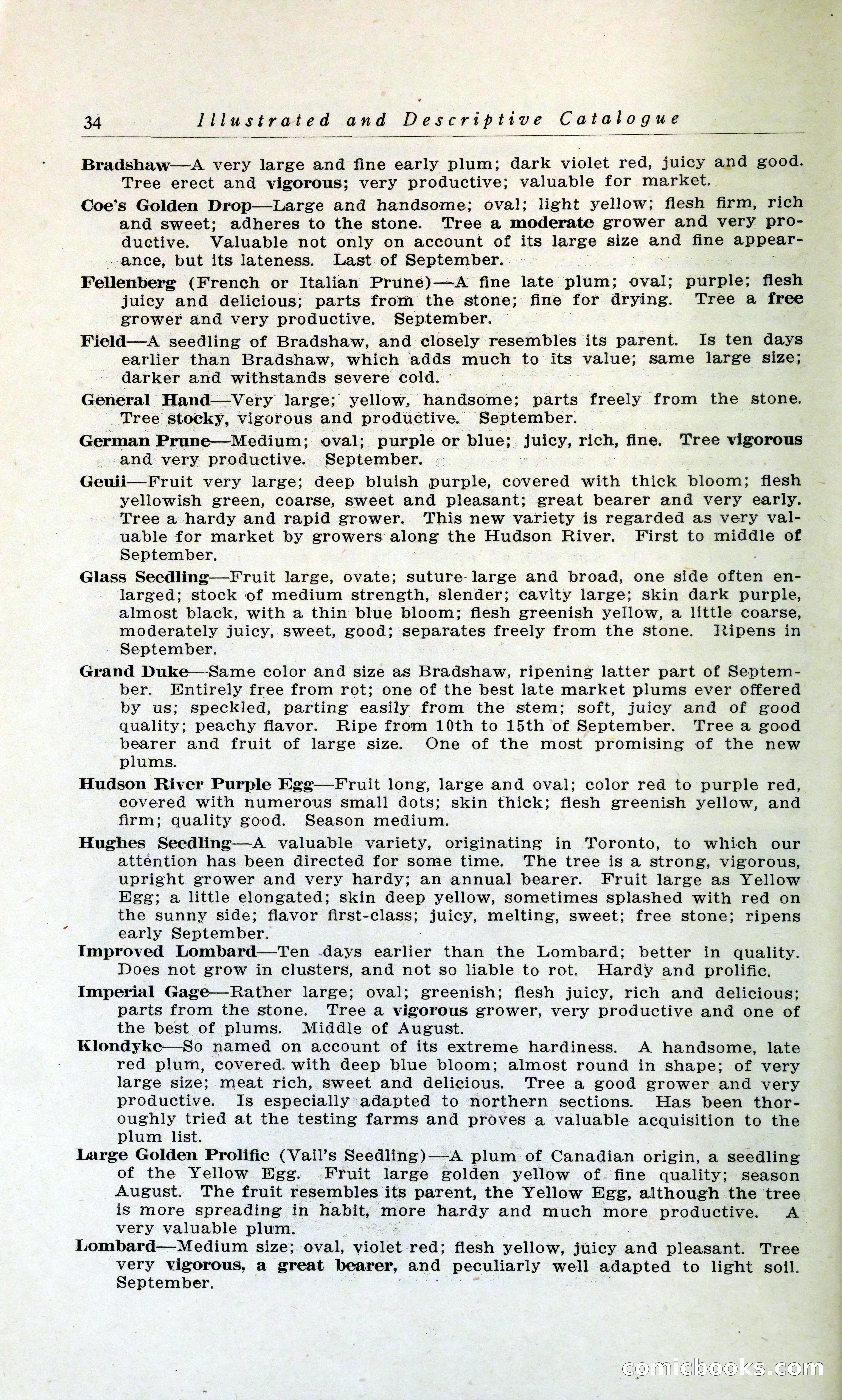 Blue Book of Hardy Trees, Shrubs & Plants — page 38 of 134