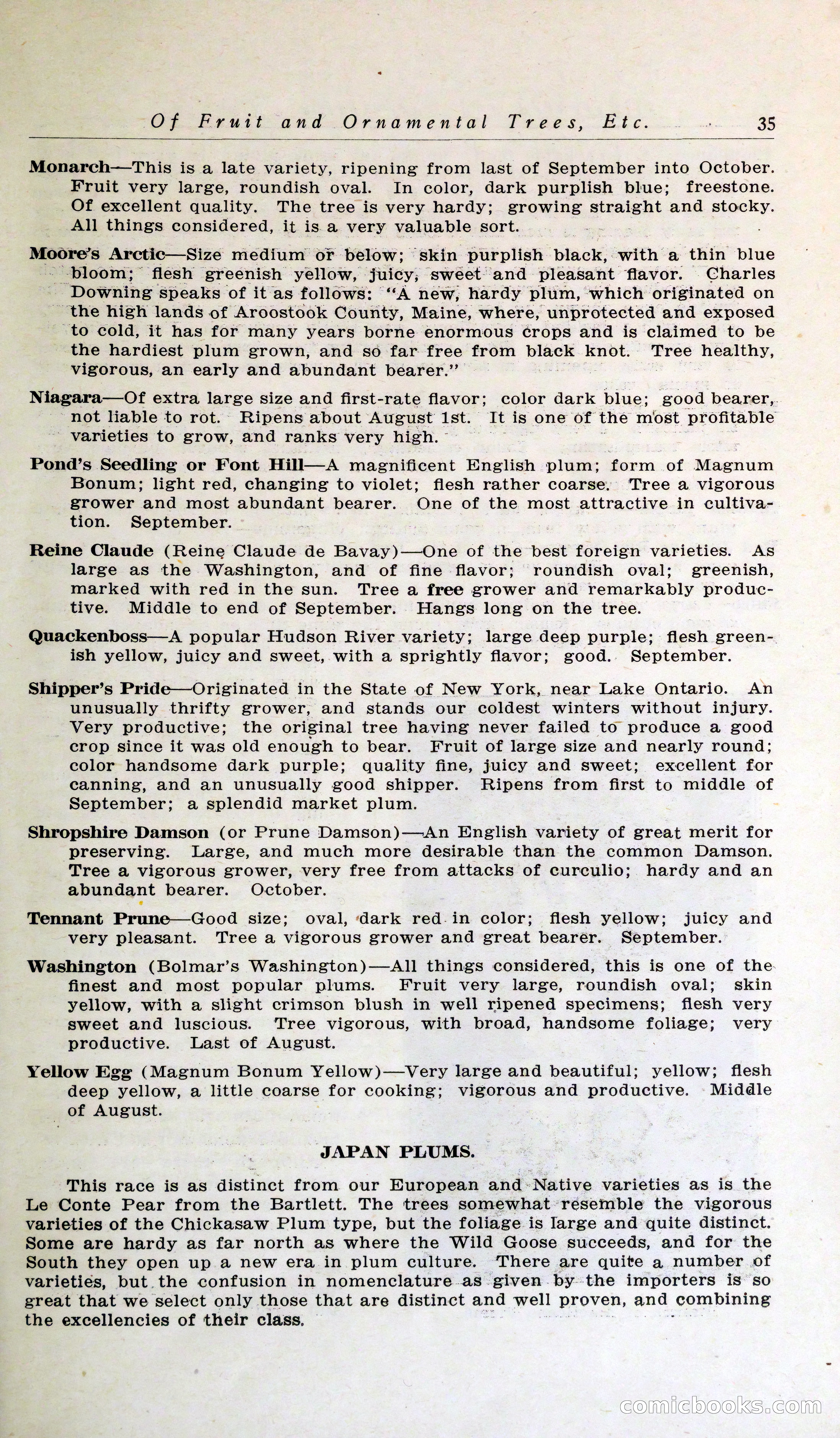 Blue Book of Hardy Trees, Shrubs & Plants — page 39 of 134