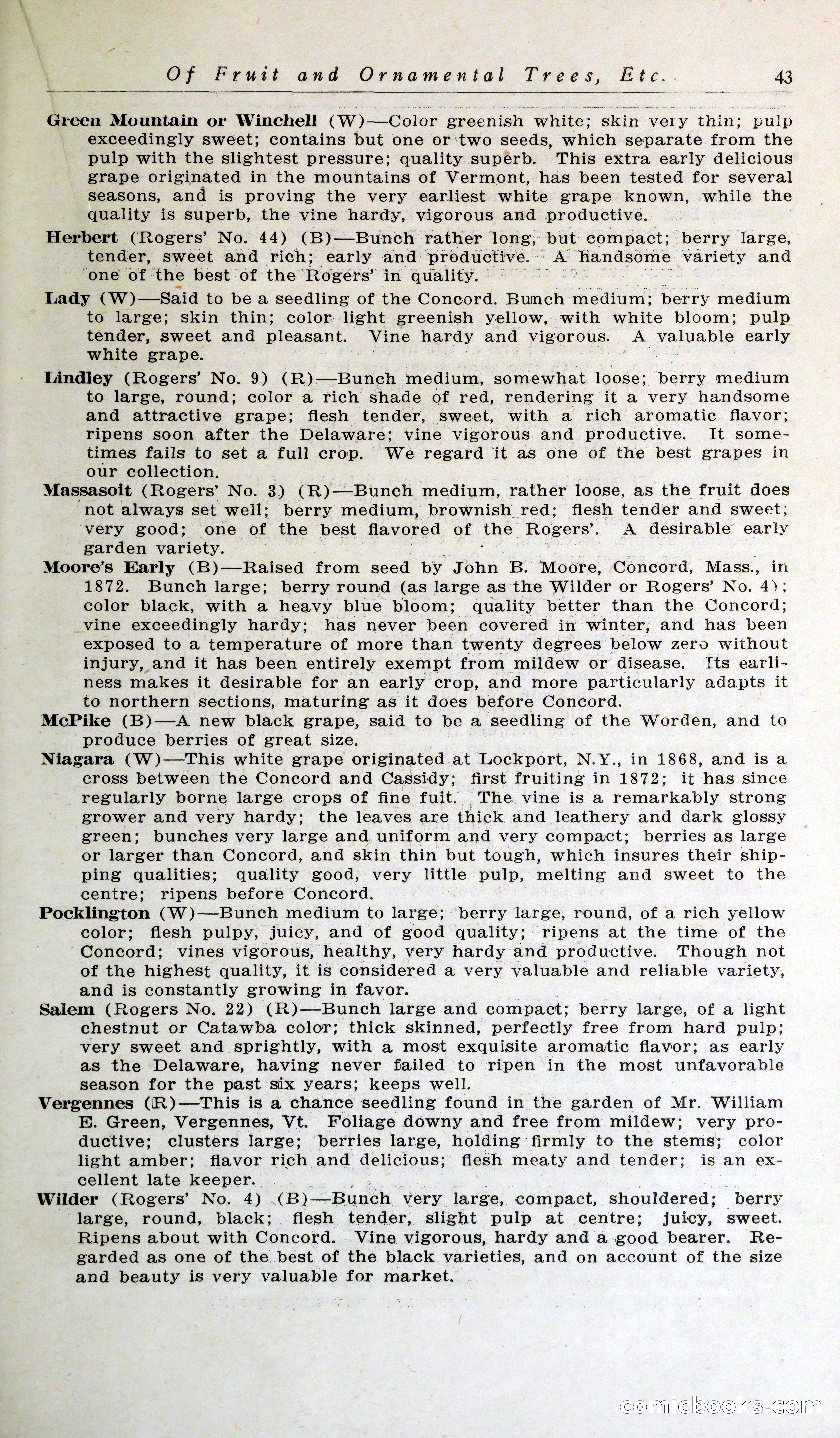 Blue Book of Hardy Trees, Shrubs & Plants — page 47 of 134