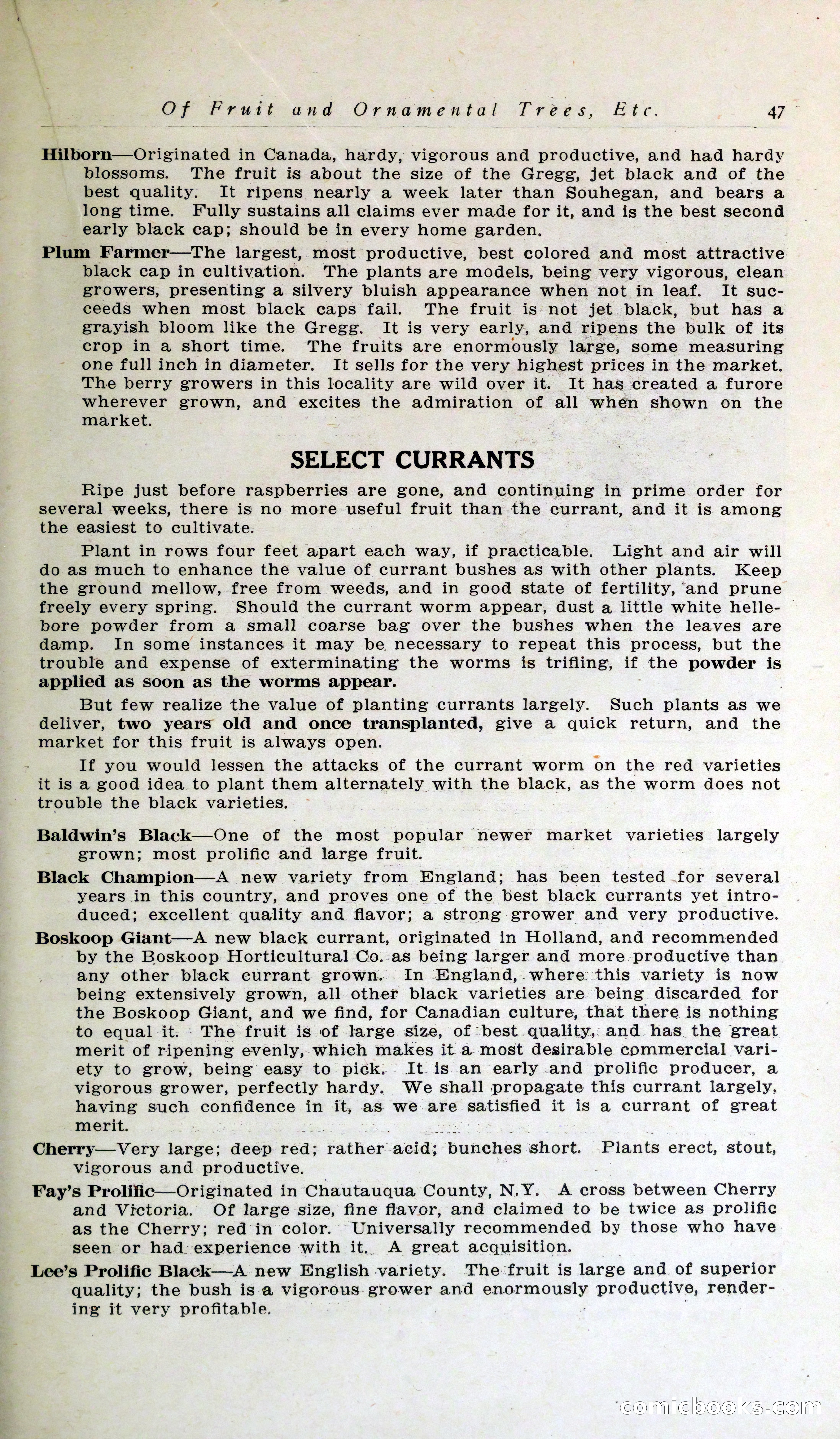 Blue Book of Hardy Trees, Shrubs & Plants — page 51 of 134