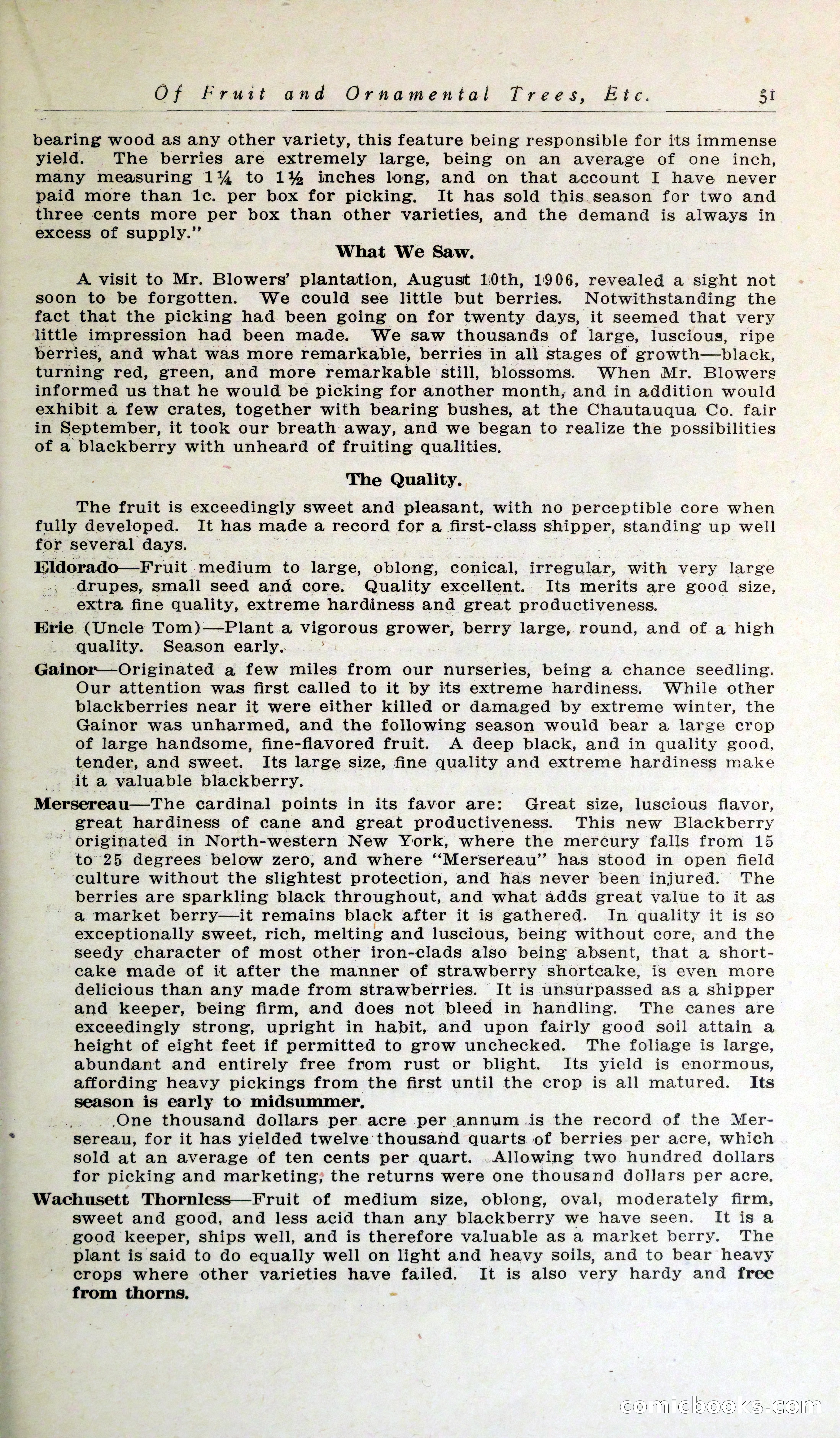 Blue Book of Hardy Trees, Shrubs & Plants — page 55 of 134