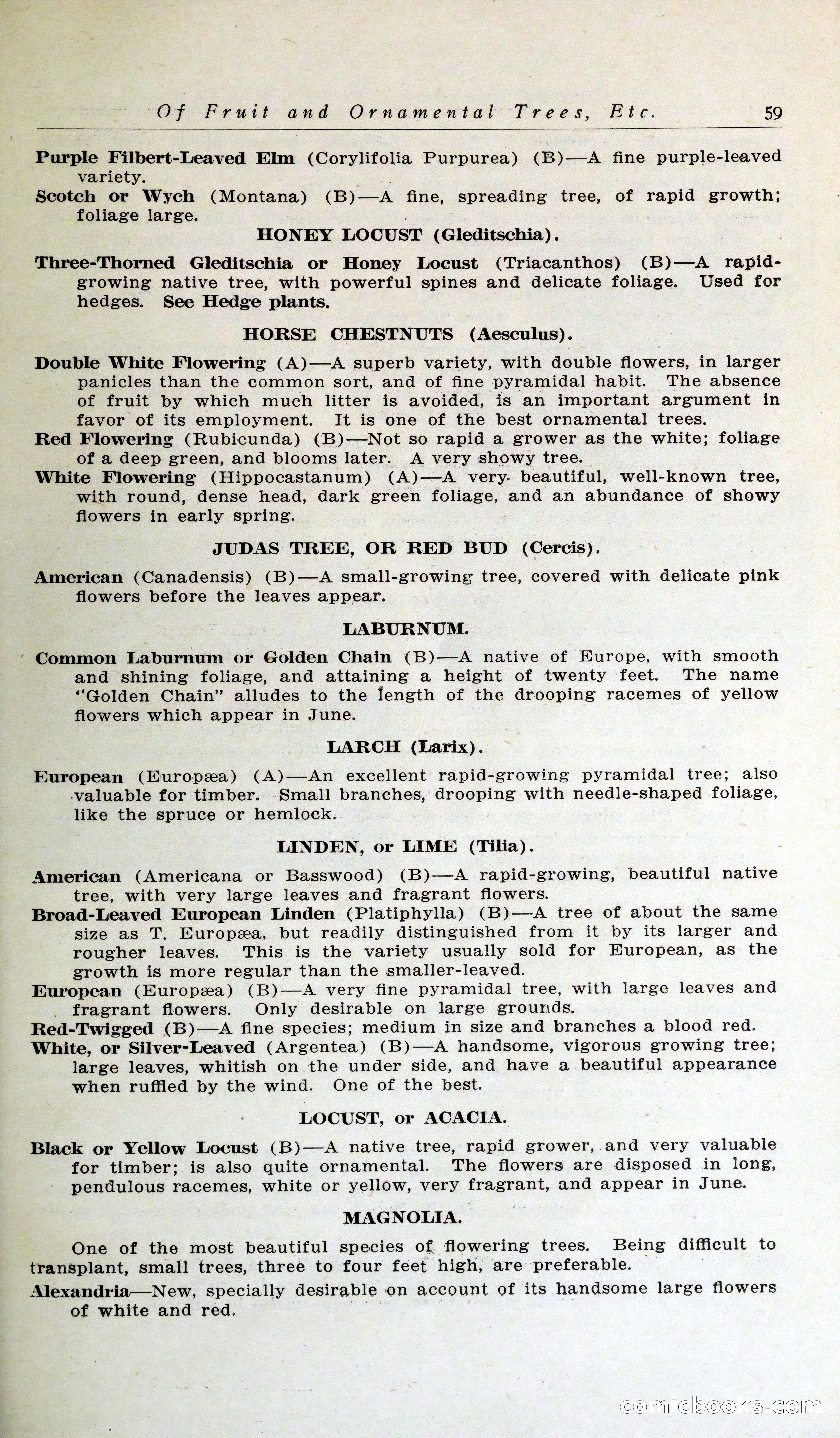 Blue Book of Hardy Trees, Shrubs & Plants — page 63 of 134