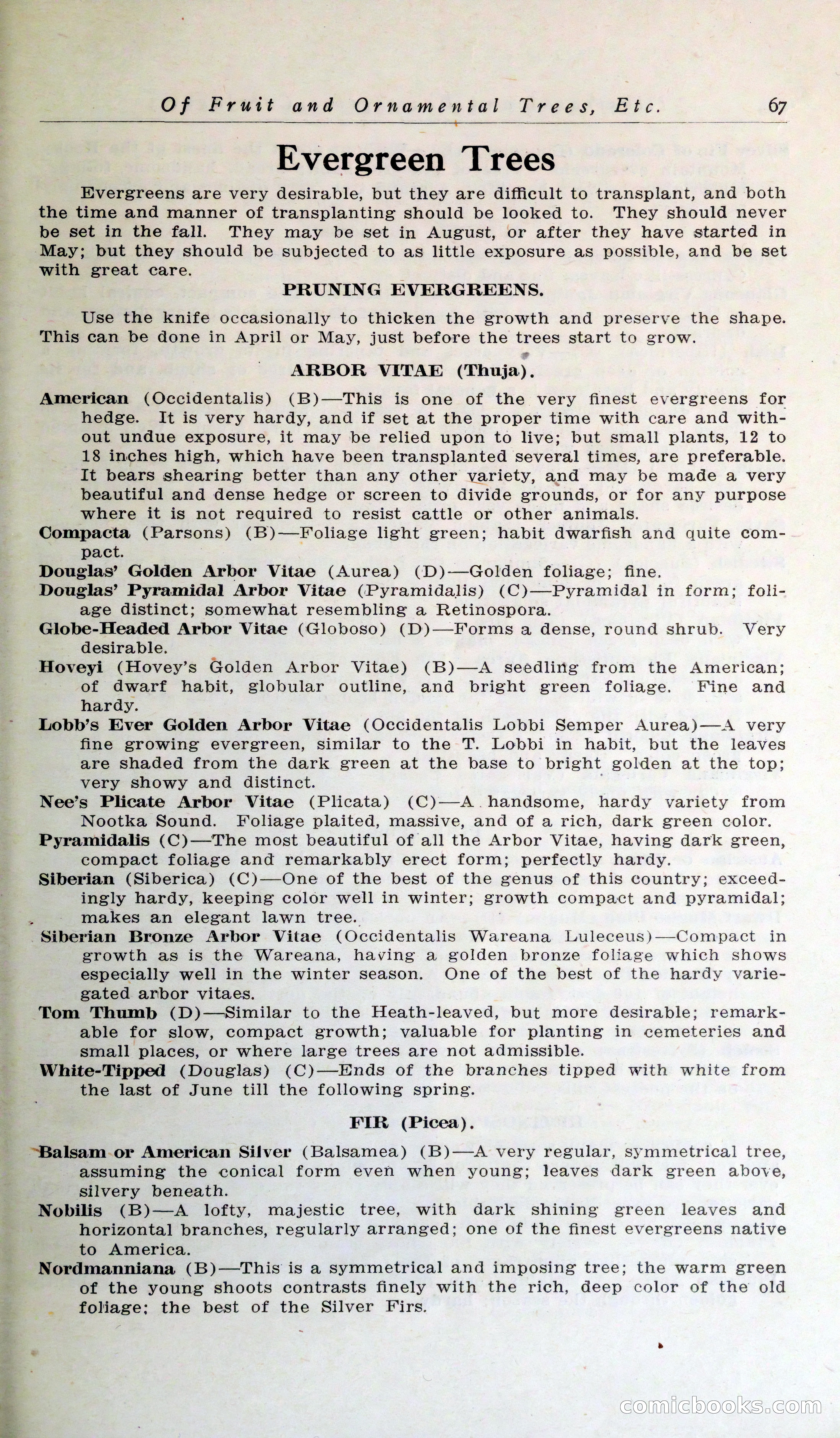 Blue Book of Hardy Trees, Shrubs & Plants — page 71 of 134