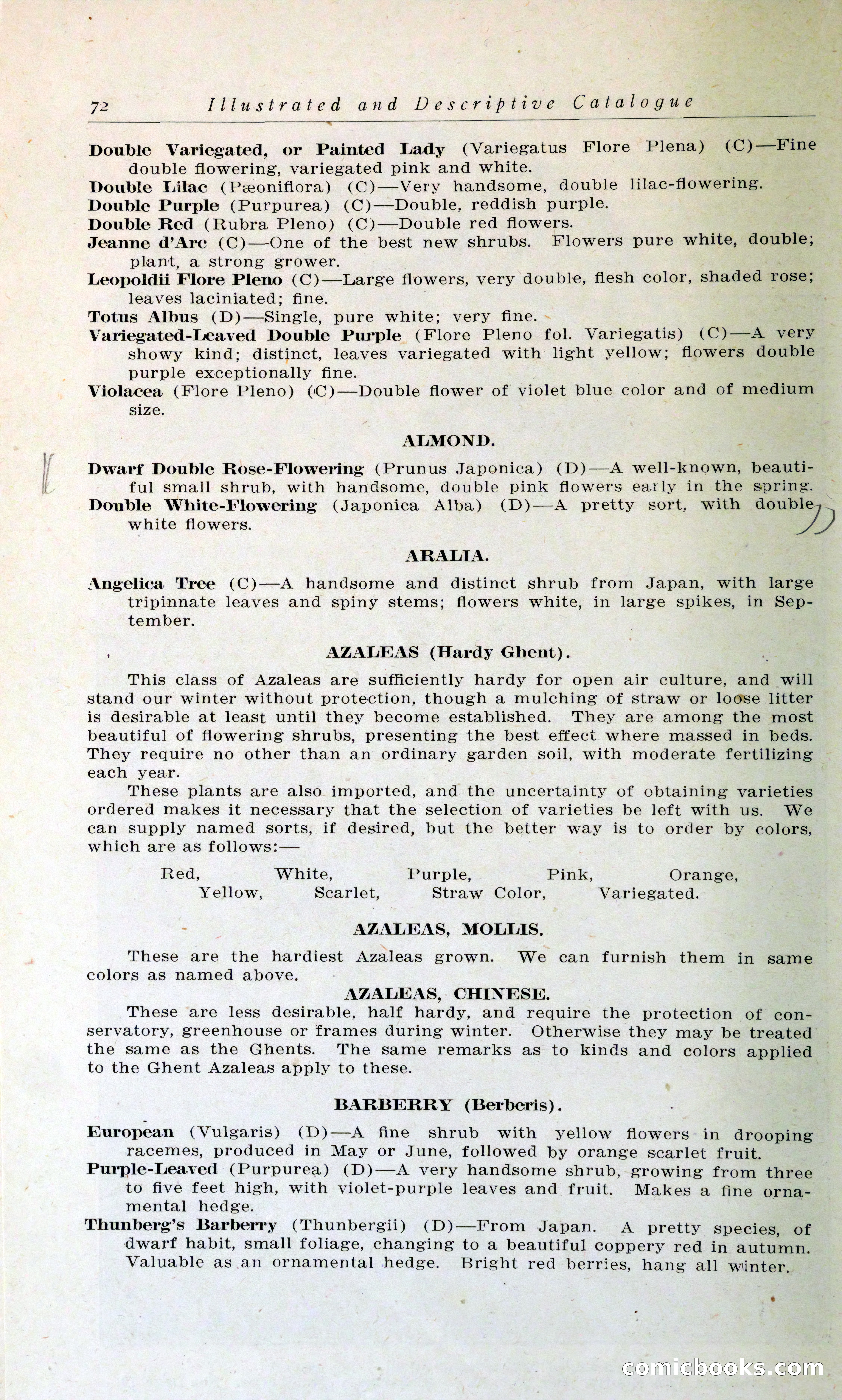 Blue Book of Hardy Trees, Shrubs & Plants — page 76 of 134