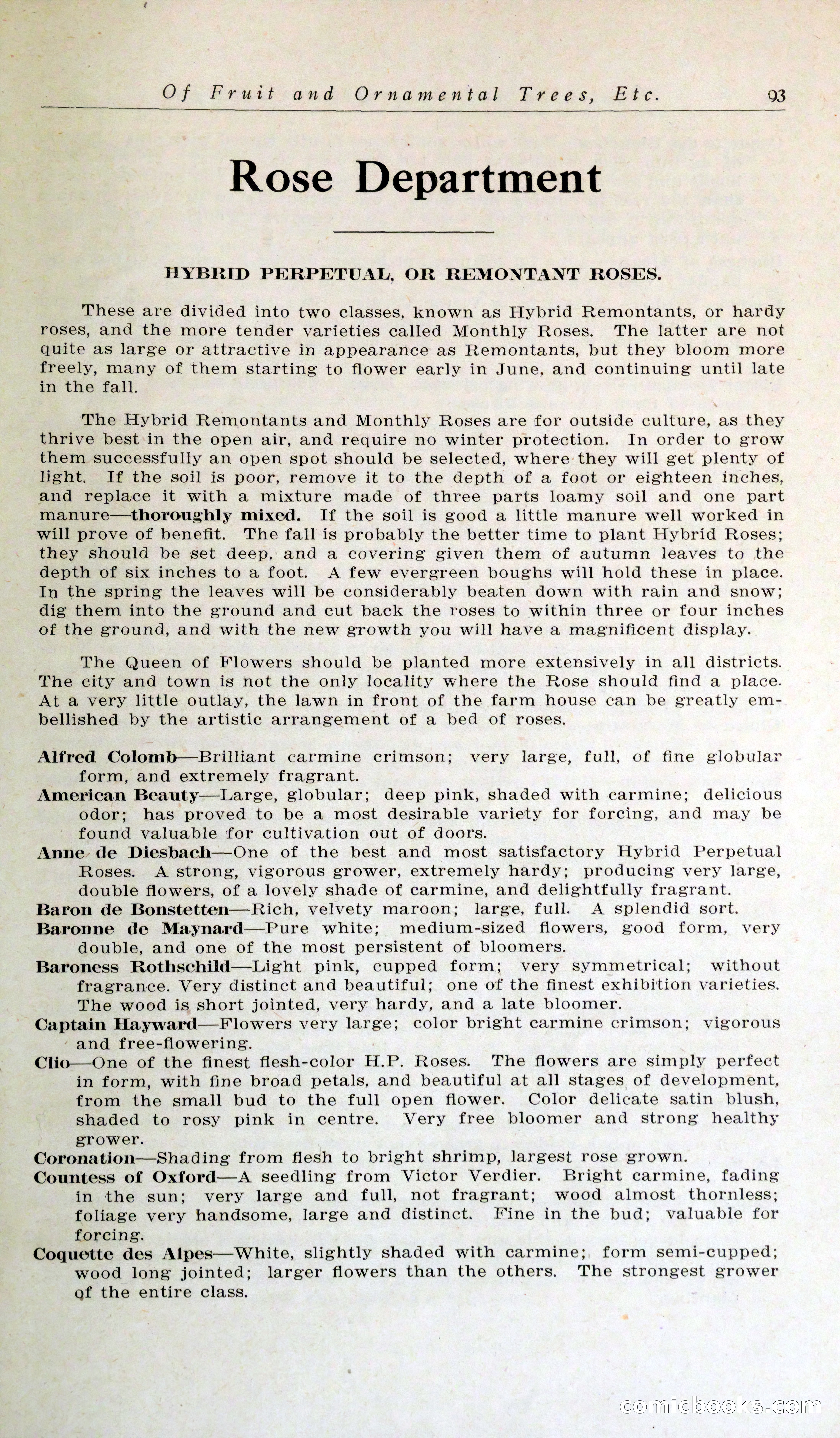 Blue Book of Hardy Trees, Shrubs & Plants — page 97 of 134