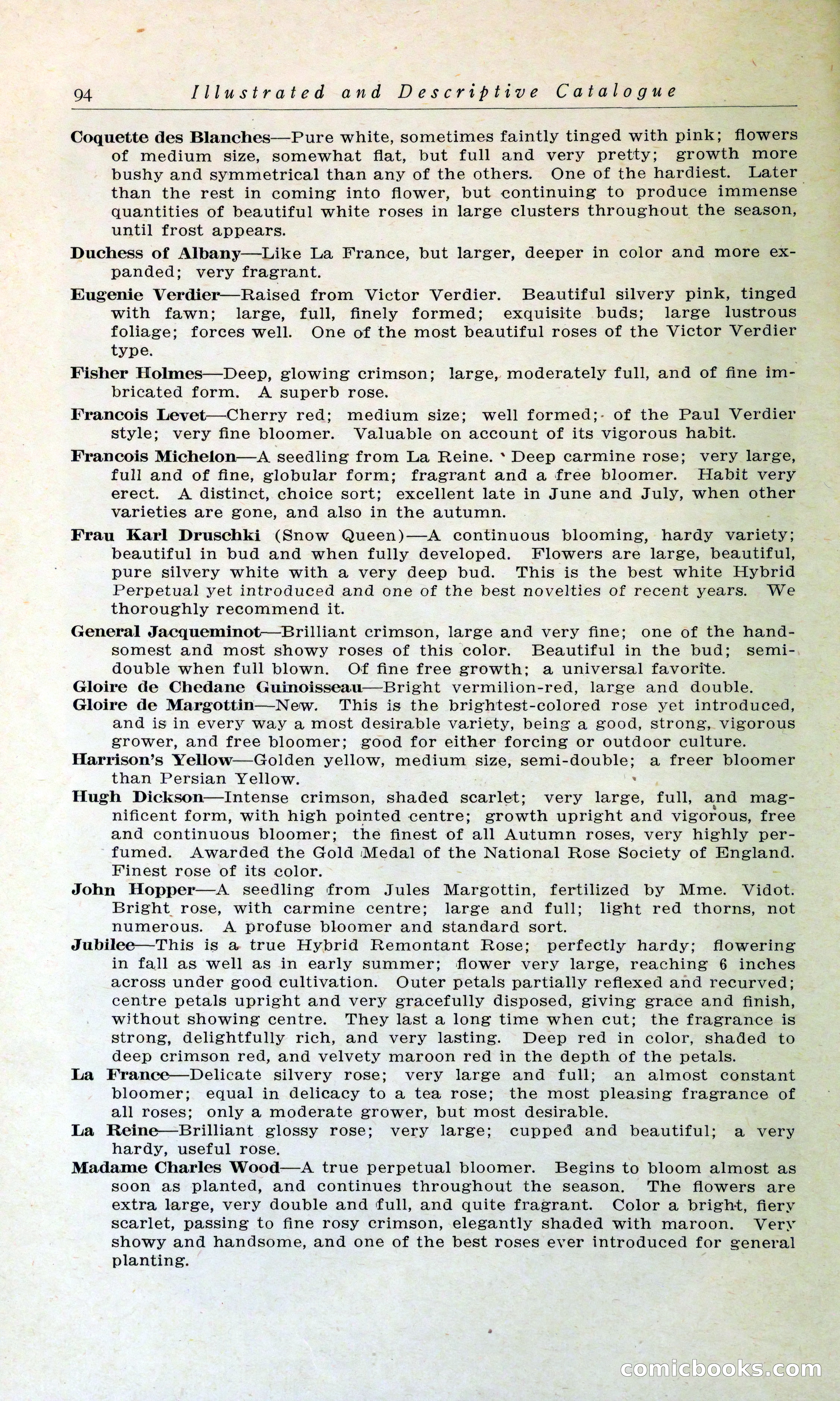 Blue Book of Hardy Trees, Shrubs & Plants — page 98 of 134