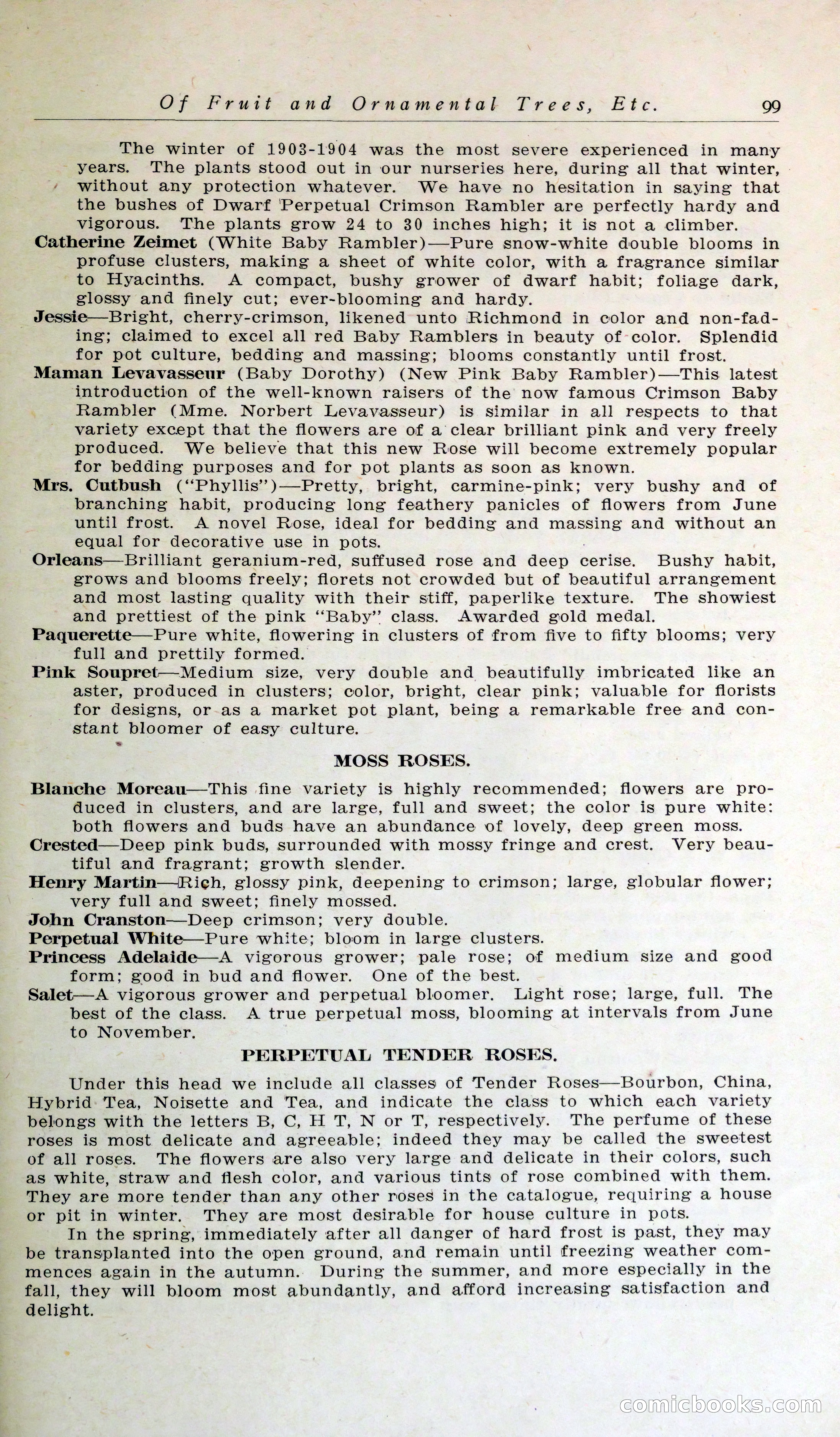 Blue Book of Hardy Trees, Shrubs & Plants — page 103 of 134