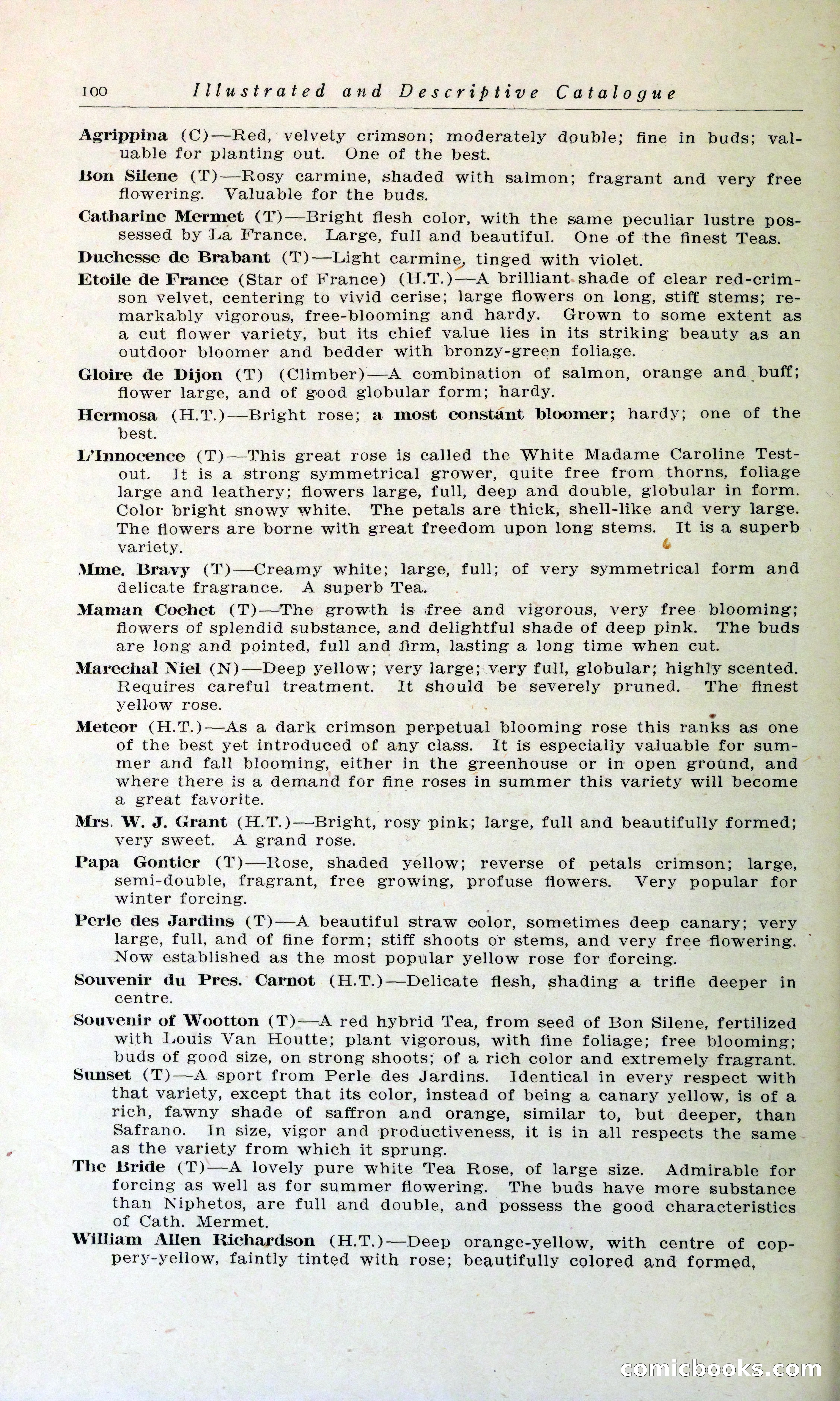 Blue Book of Hardy Trees, Shrubs & Plants — page 104 of 134