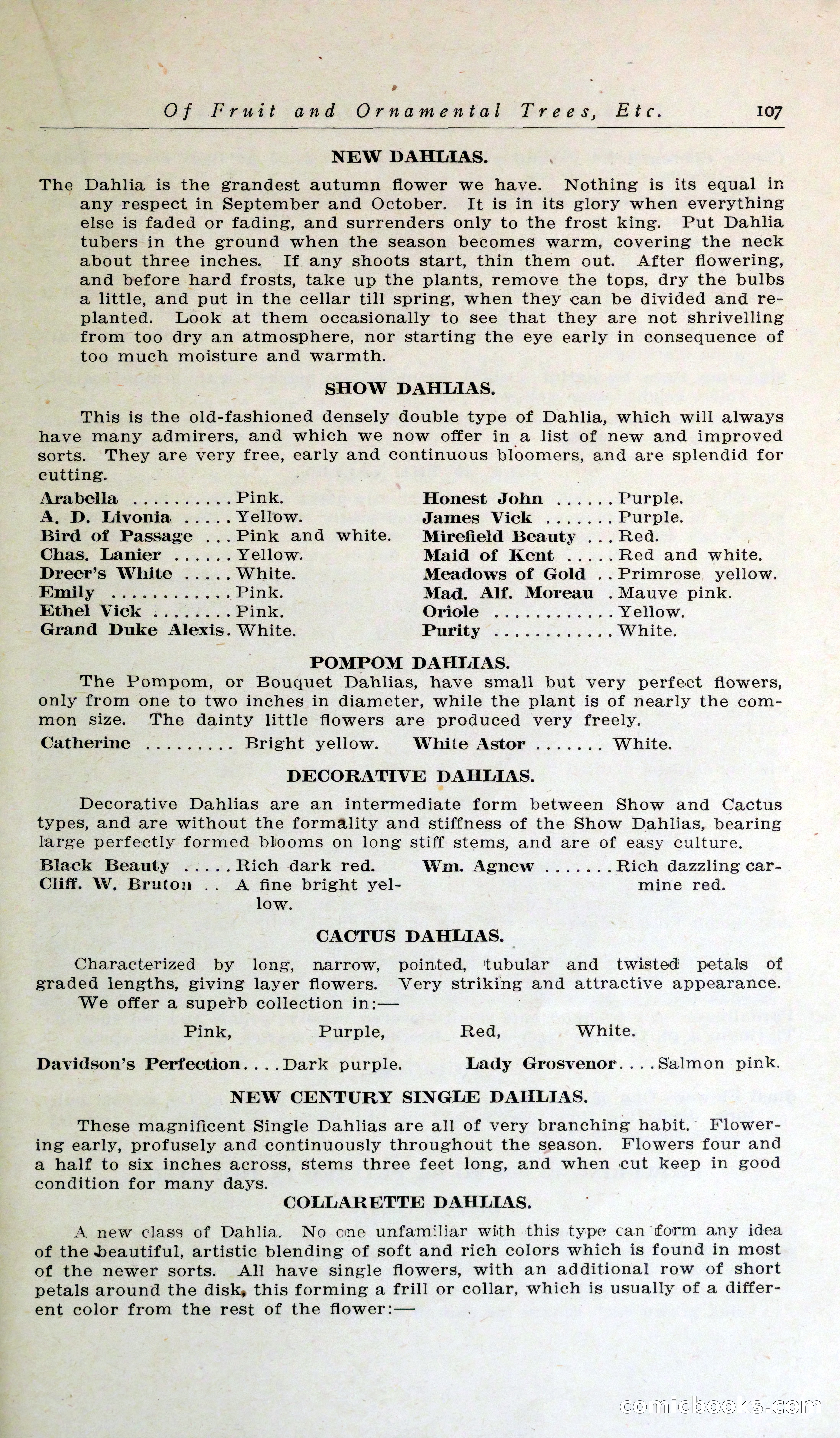 Blue Book of Hardy Trees, Shrubs & Plants — page 111 of 134