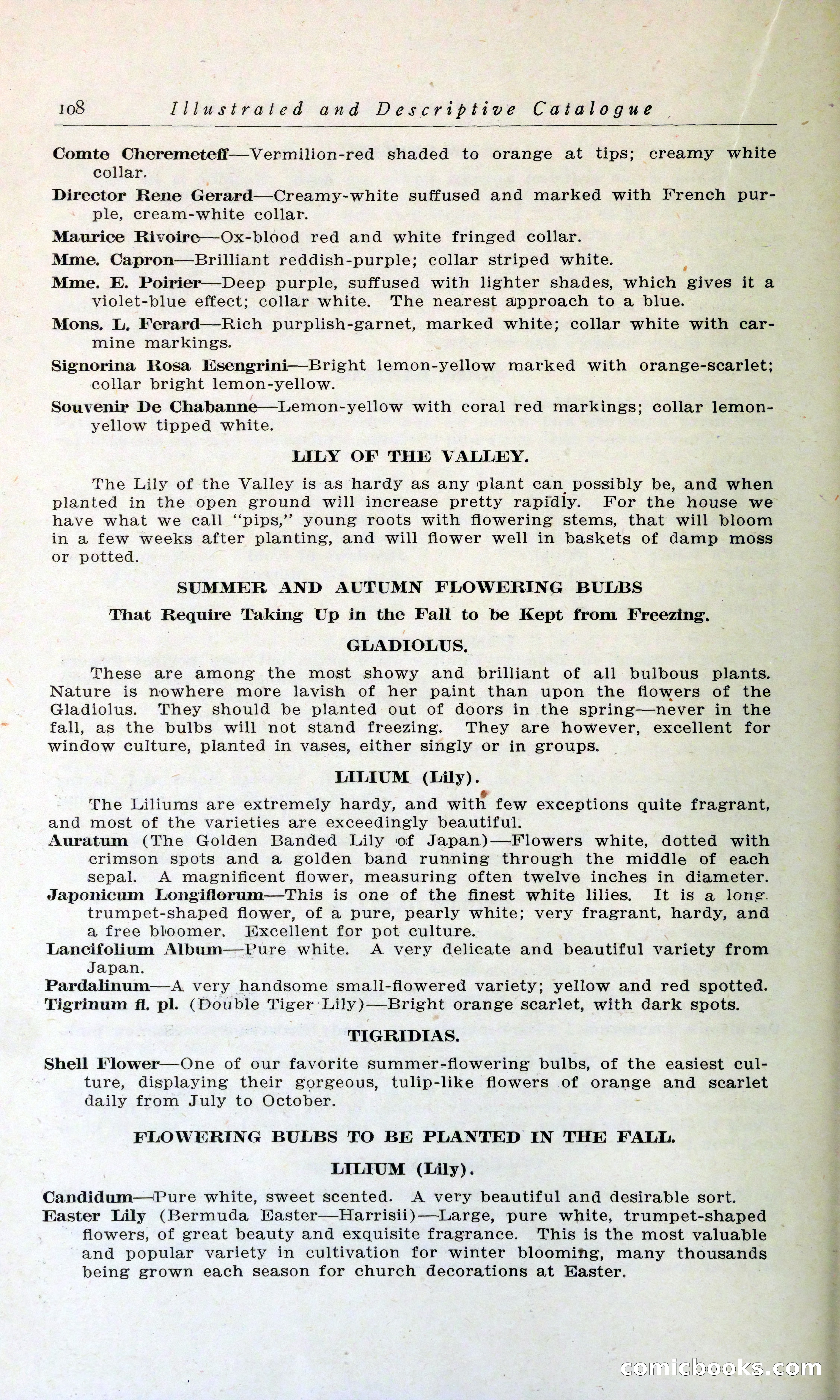 Blue Book of Hardy Trees, Shrubs & Plants — page 112 of 134