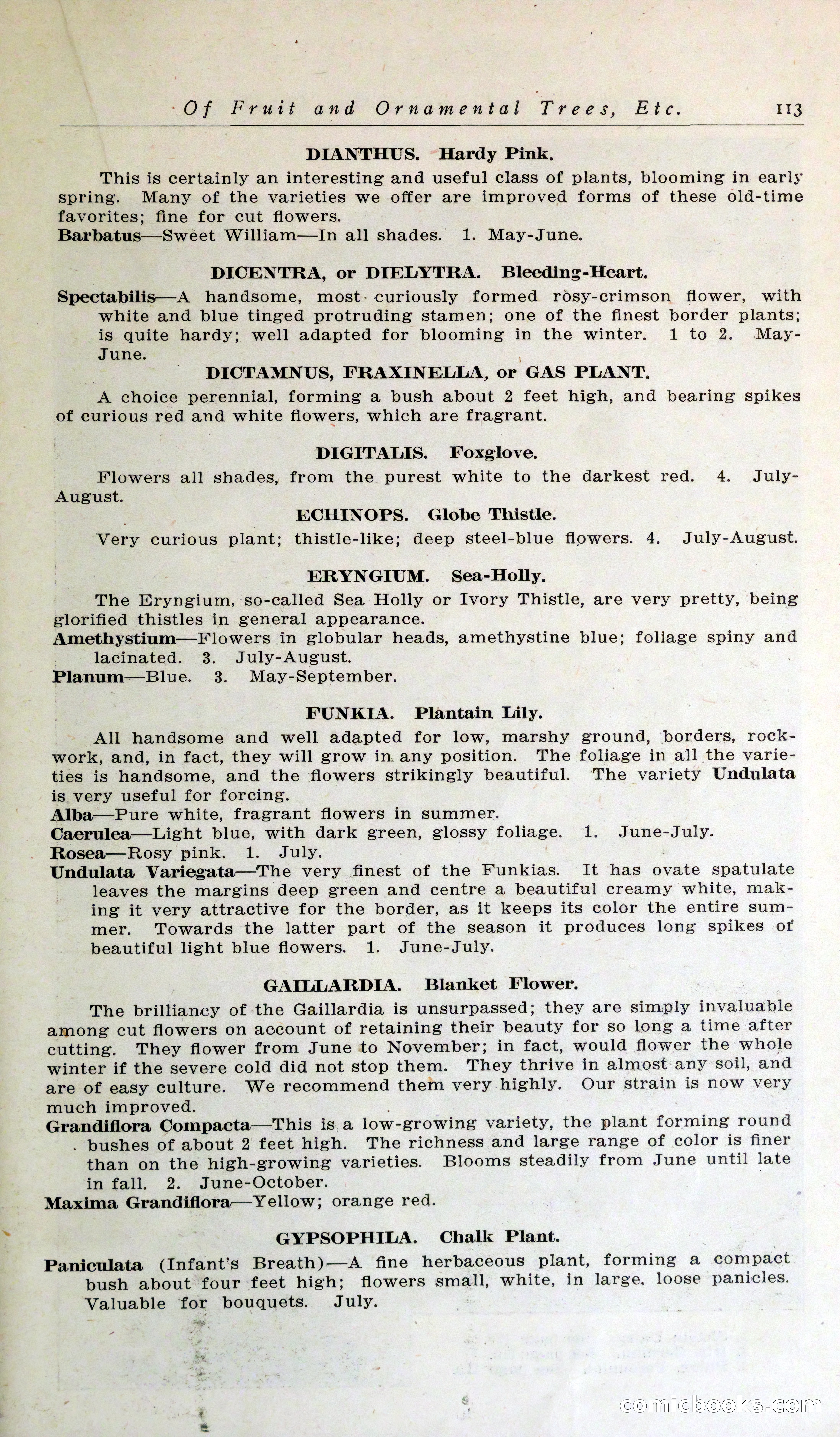 Blue Book of Hardy Trees, Shrubs & Plants — page 117 of 134