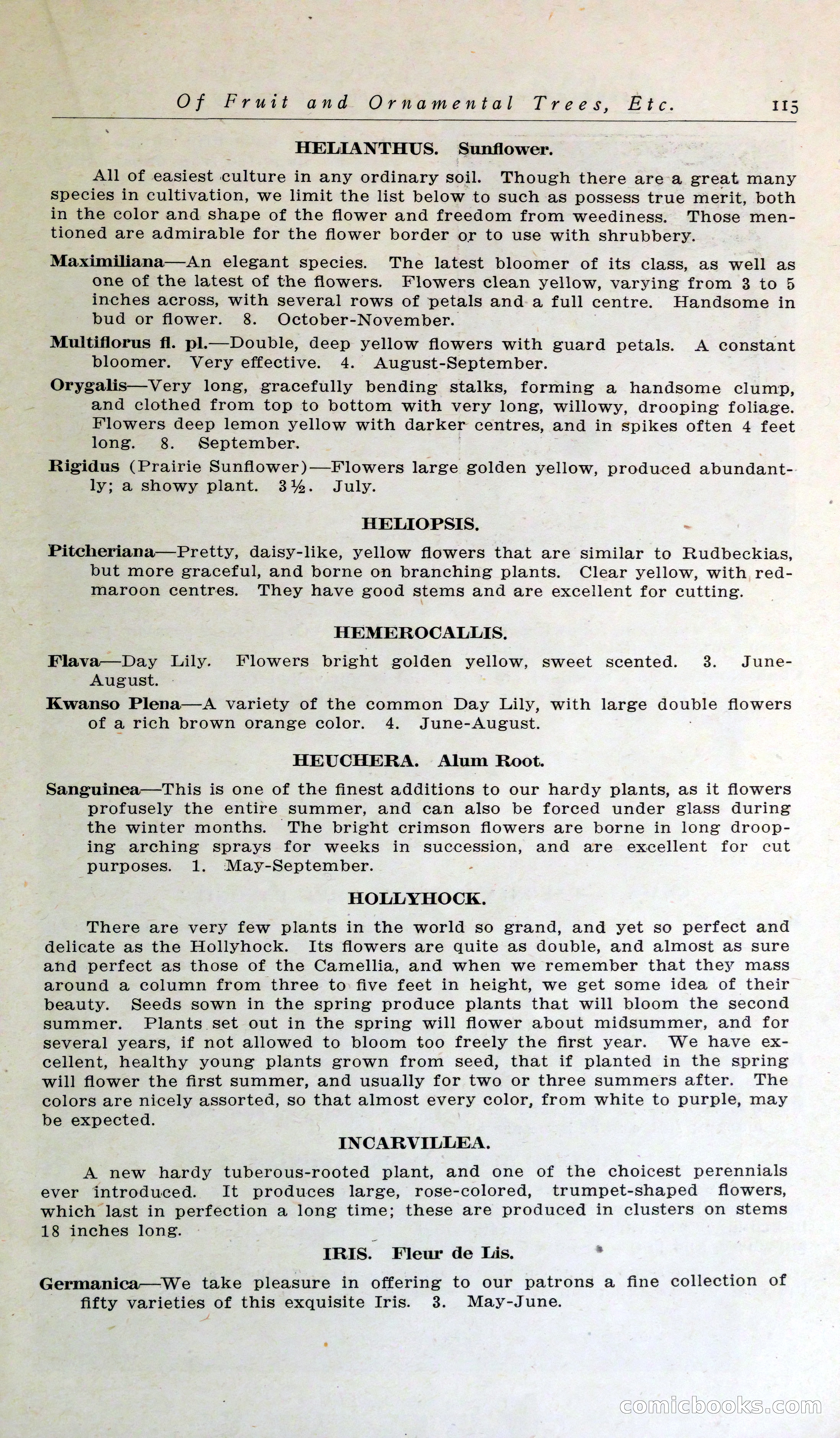 Blue Book of Hardy Trees, Shrubs & Plants — page 119 of 134