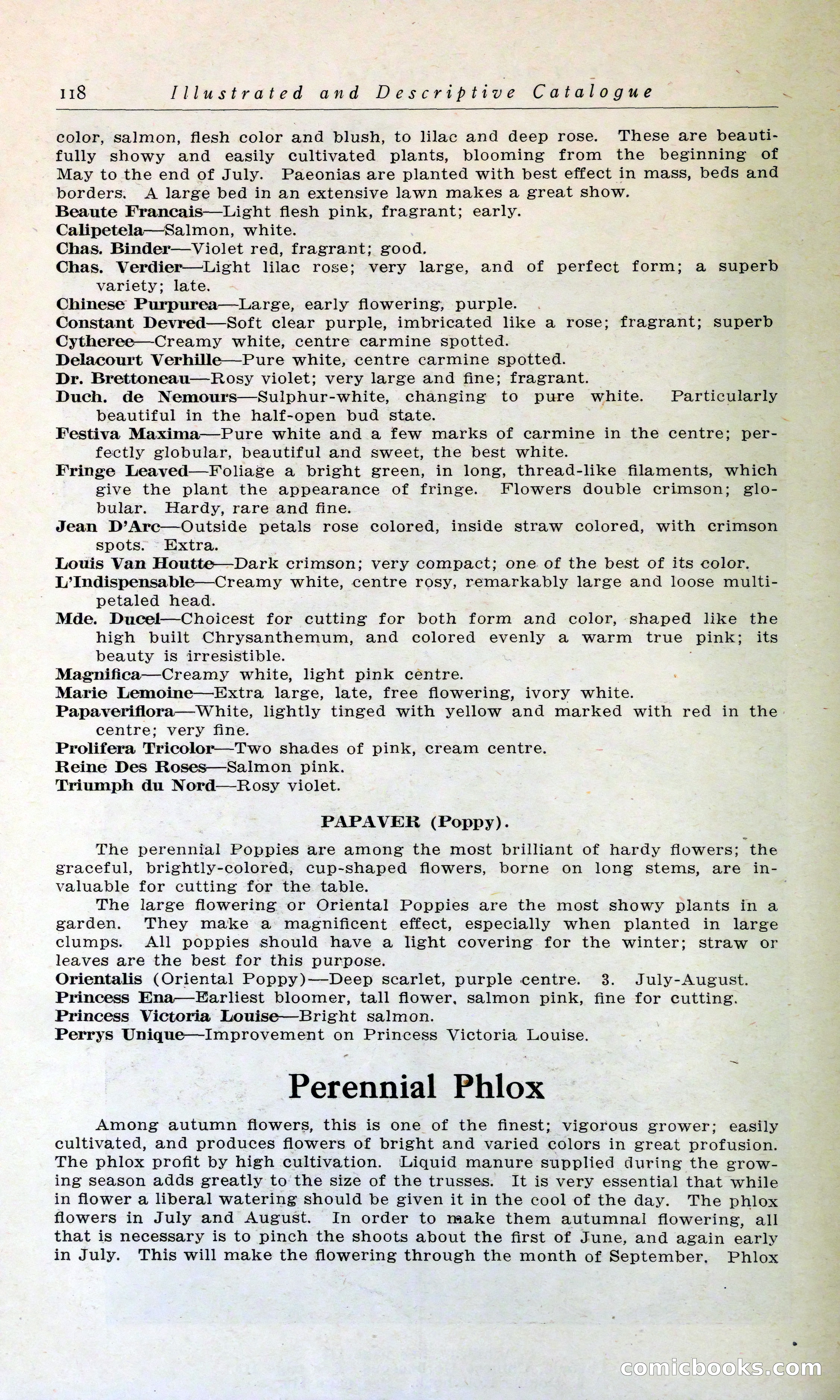 Blue Book of Hardy Trees, Shrubs & Plants — page 122 of 134