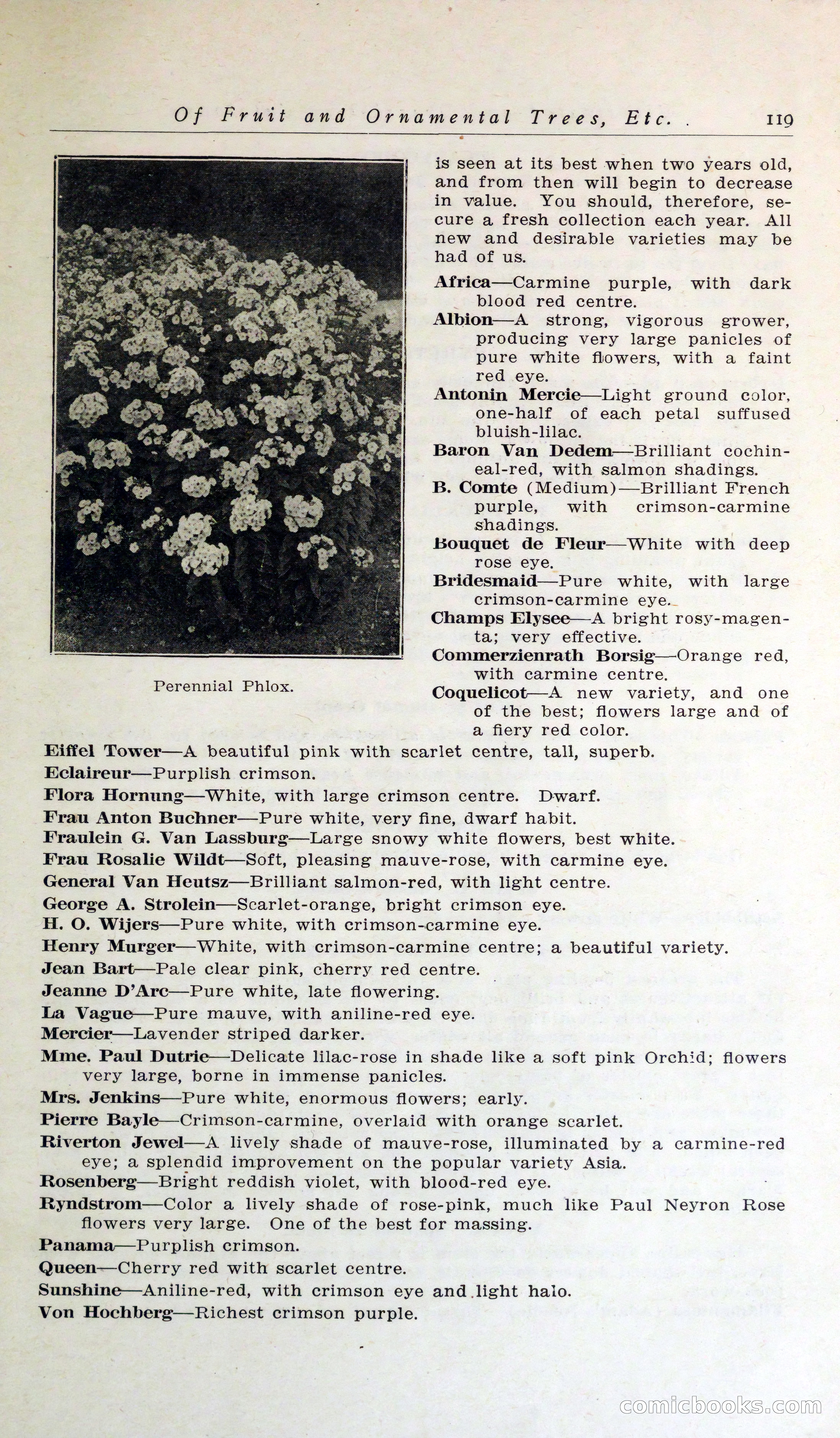 Blue Book of Hardy Trees, Shrubs & Plants — page 123 of 134