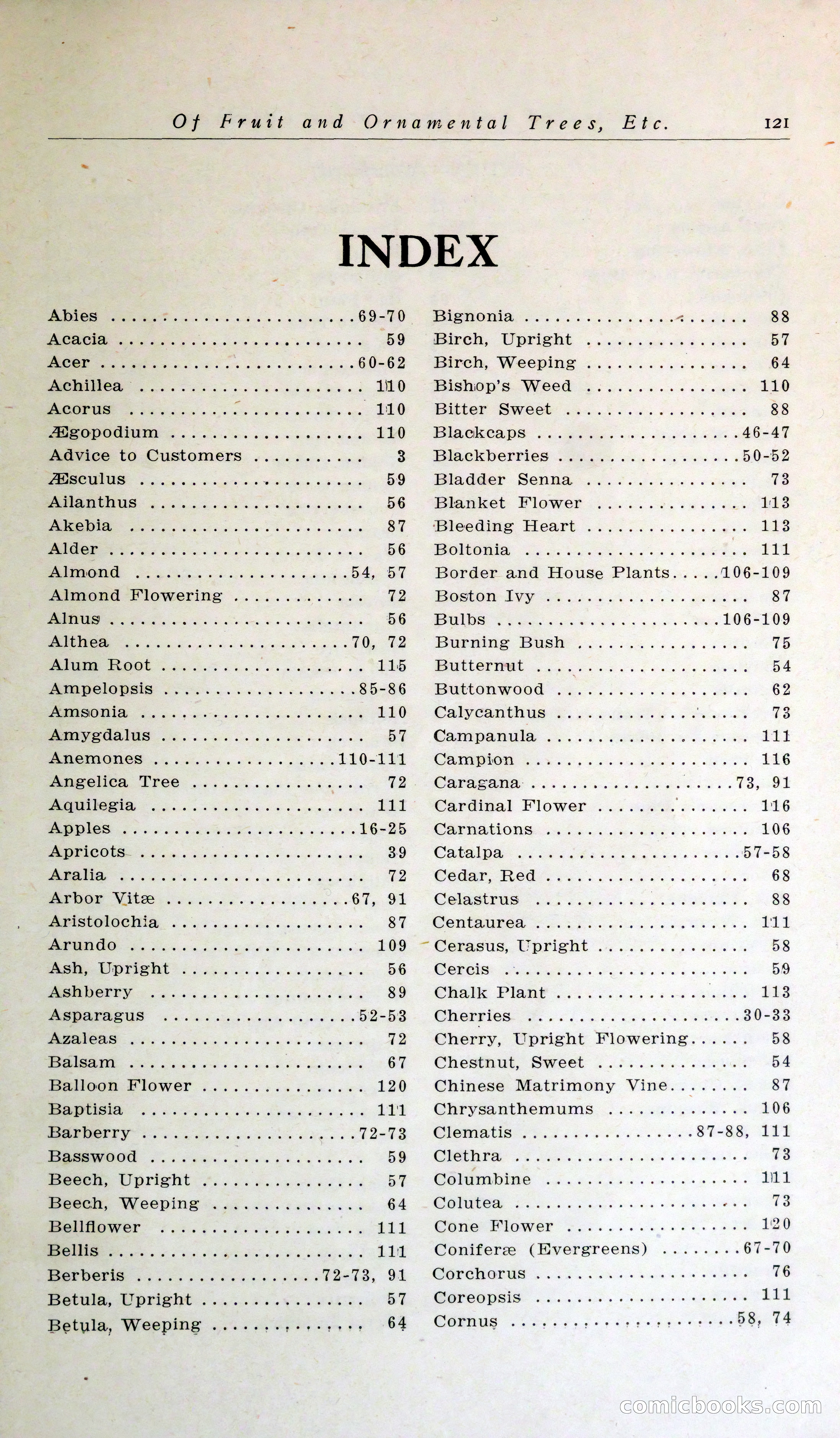 Blue Book of Hardy Trees, Shrubs & Plants — page 125 of 134