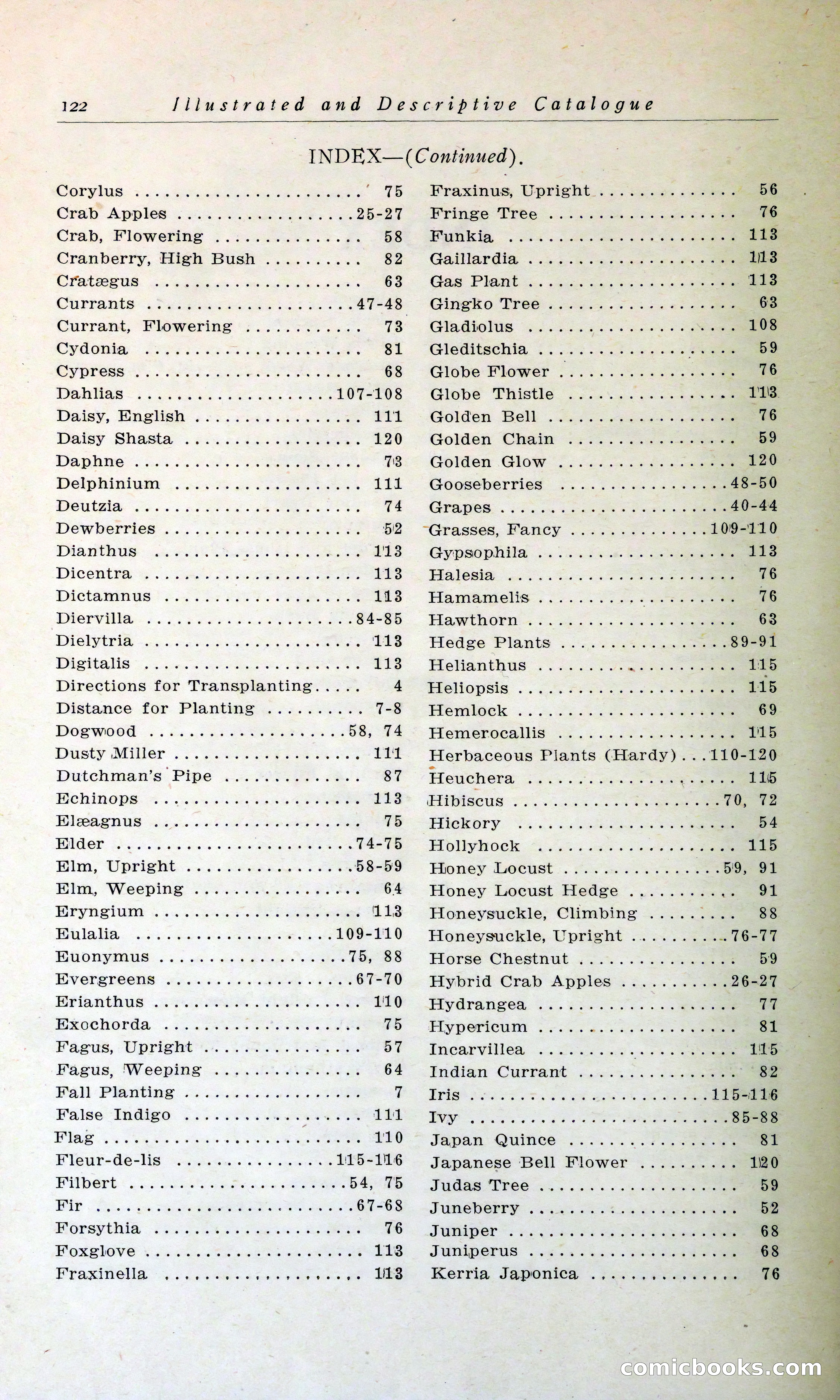 Blue Book of Hardy Trees, Shrubs & Plants — page 126 of 134