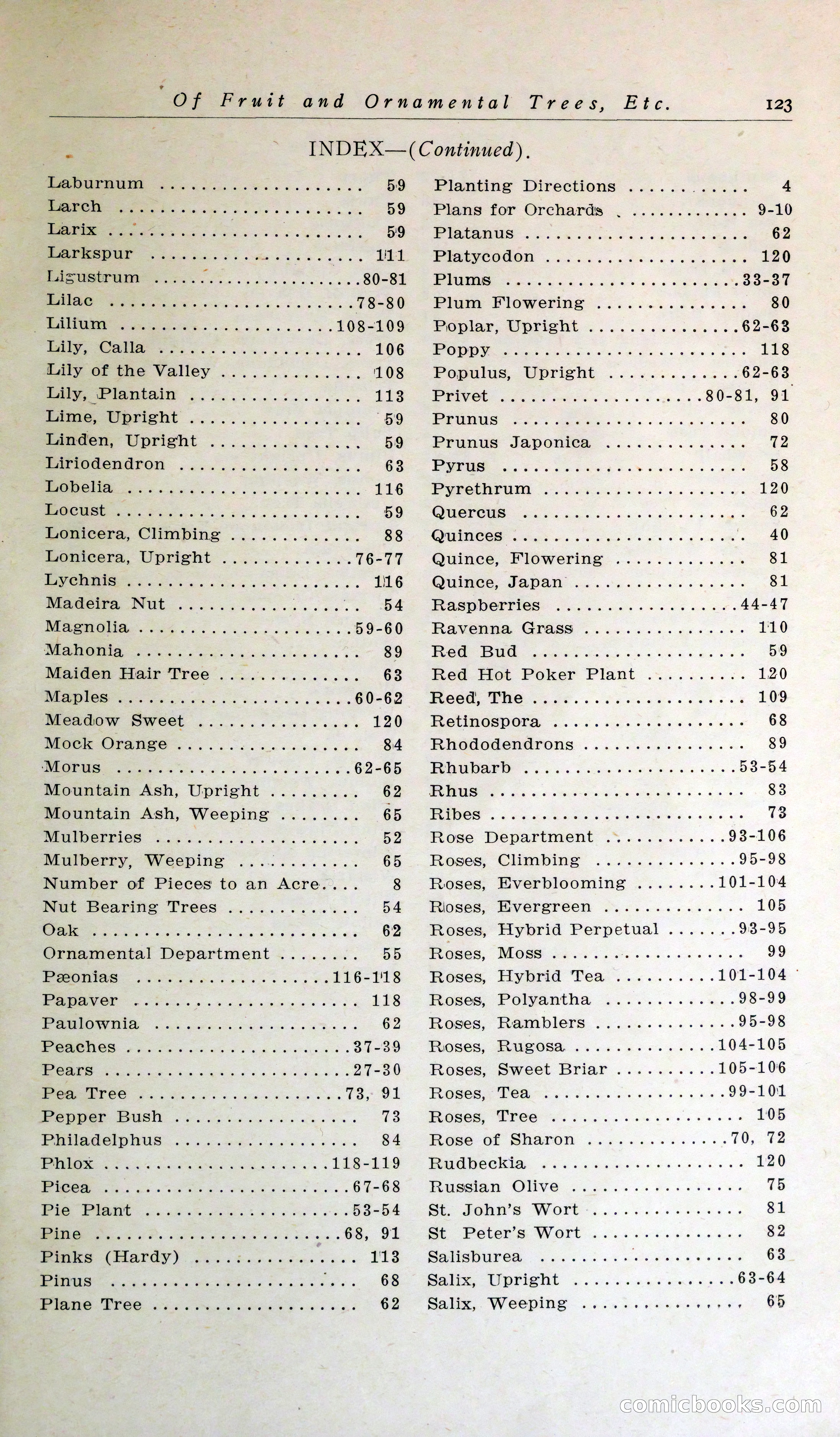 Blue Book of Hardy Trees, Shrubs & Plants — page 127 of 134