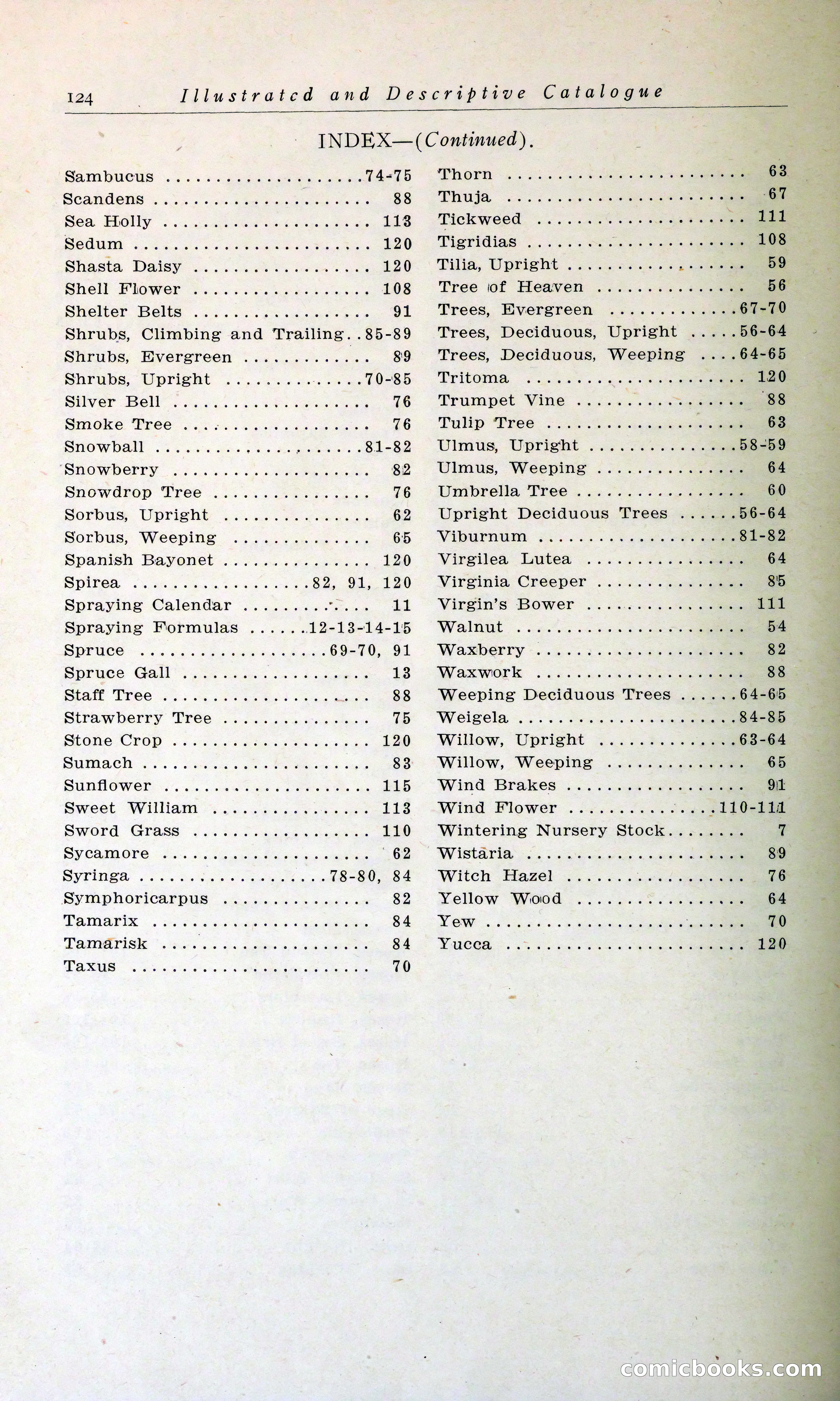 Blue Book of Hardy Trees, Shrubs & Plants — page 128 of 134