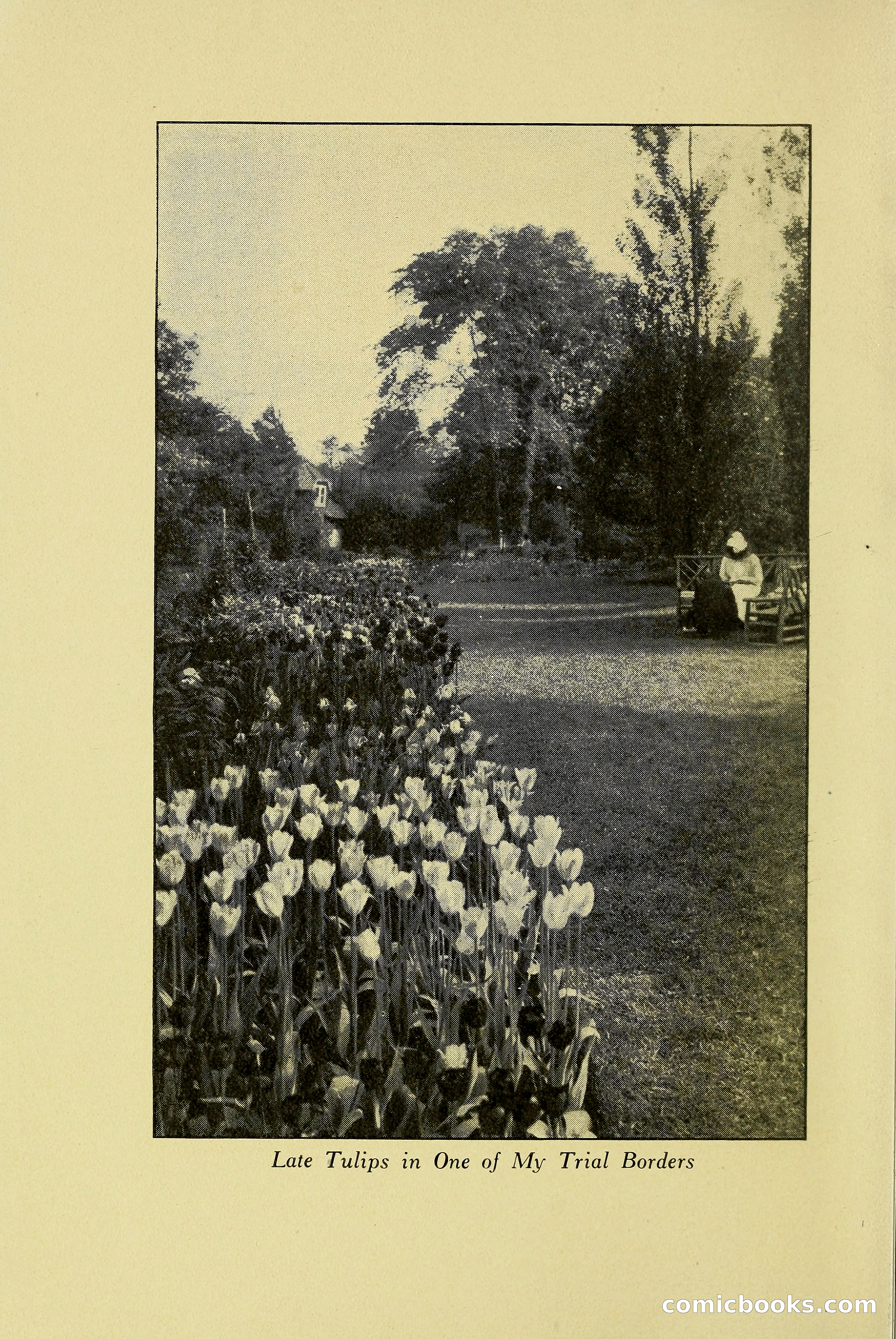 The Blue Book of Bulbs — page 7 of 97