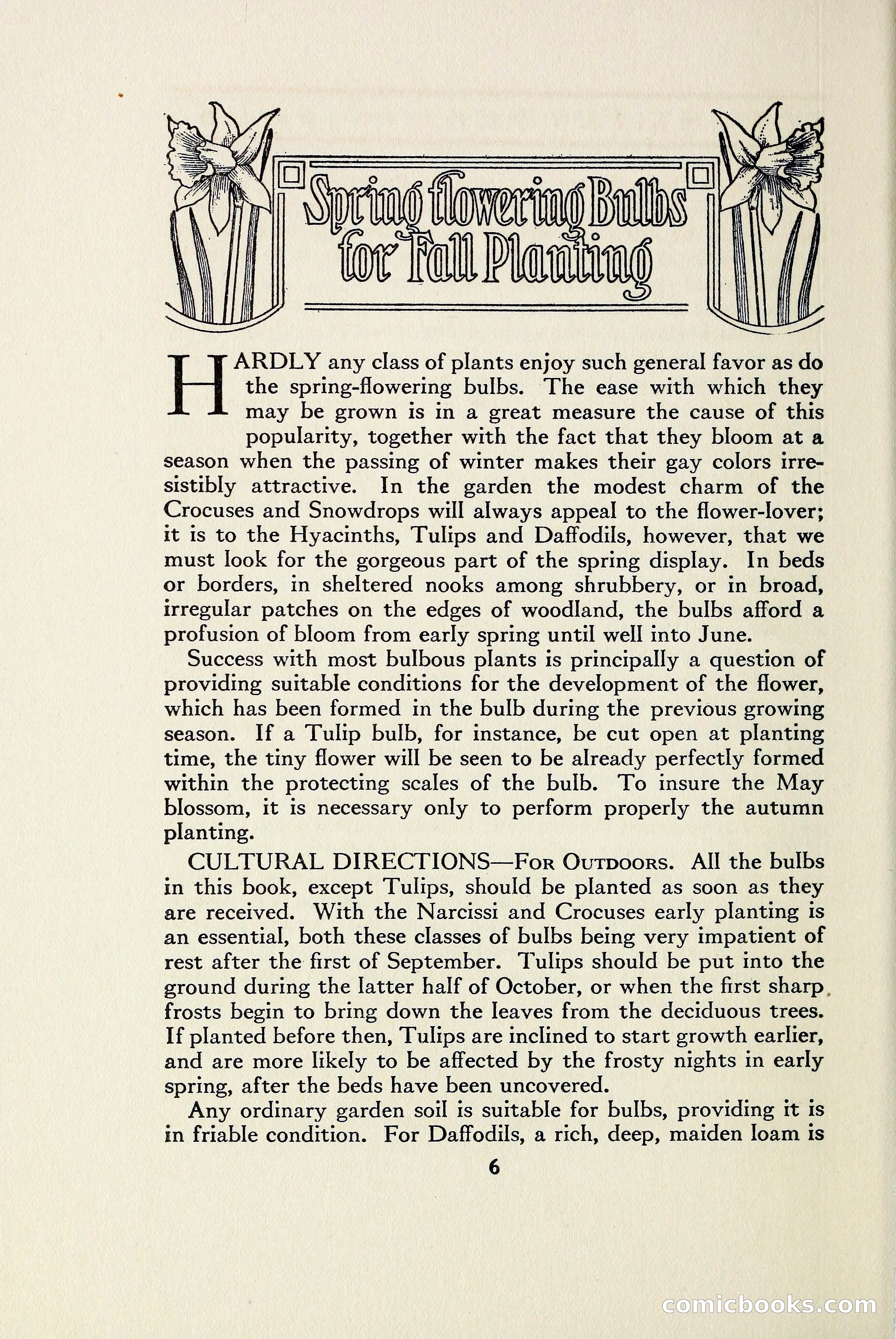 The Blue Book of Bulbs — page 13 of 97