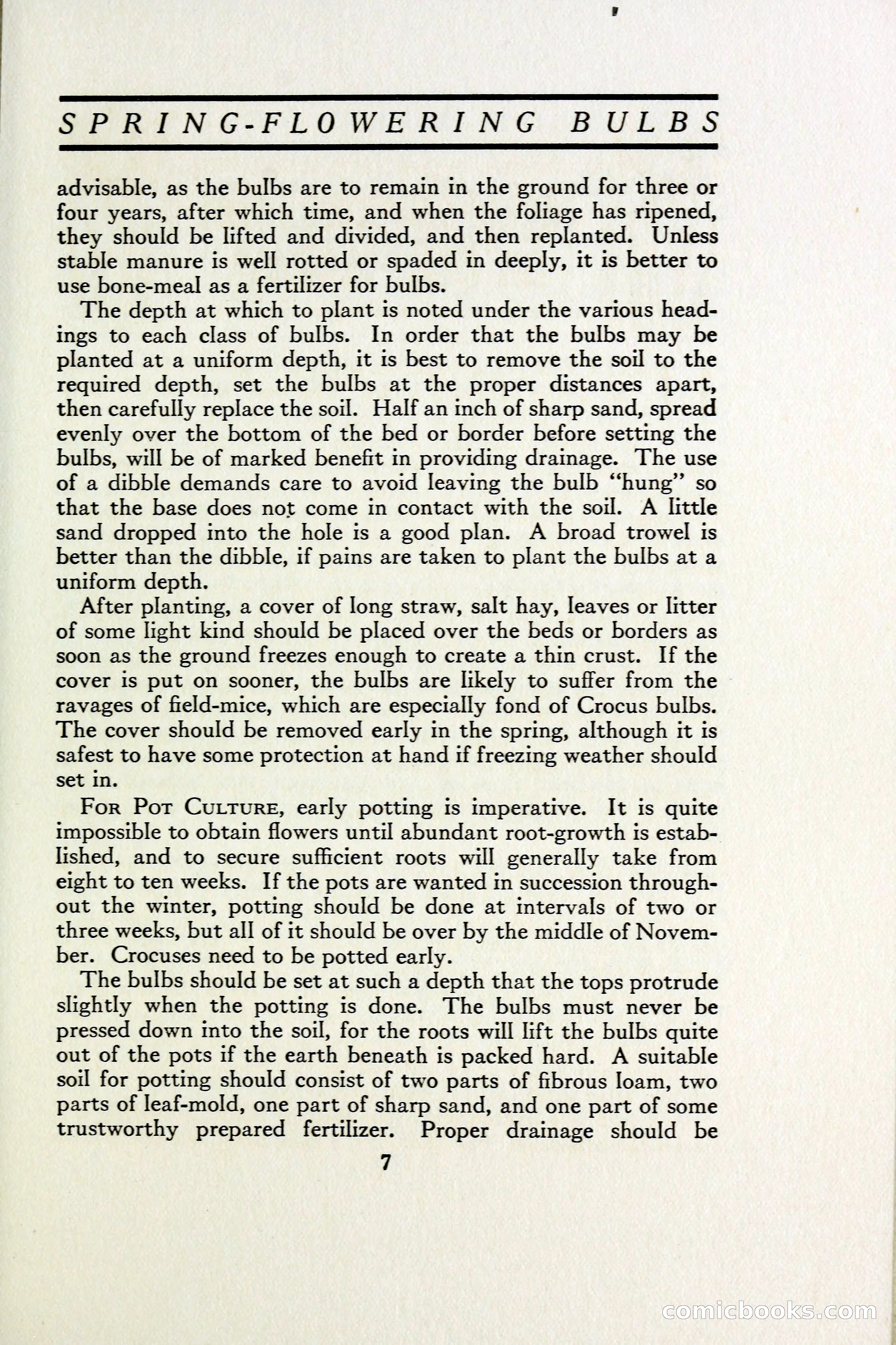 The Blue Book of Bulbs — page 14 of 97