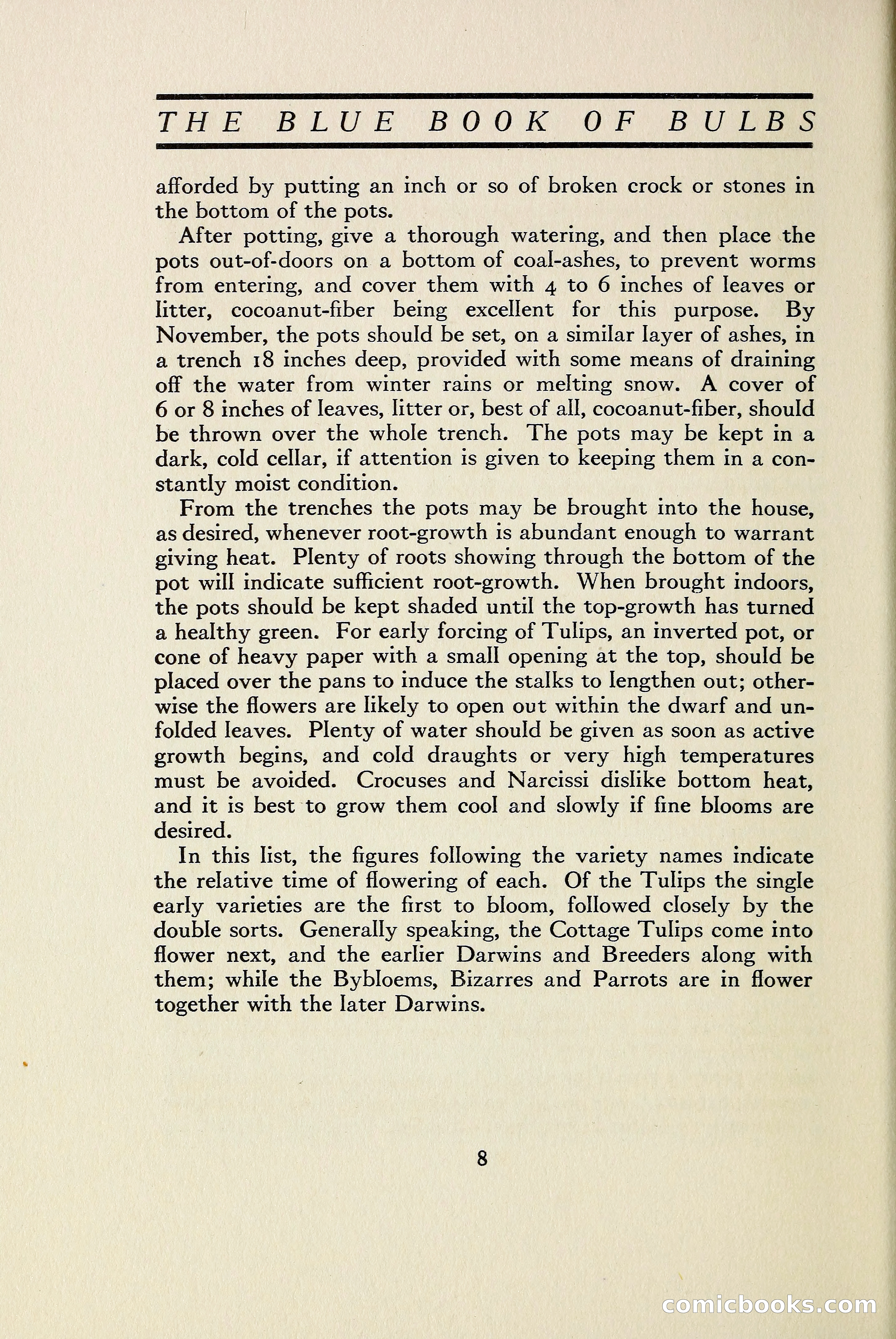 The Blue Book of Bulbs — page 15 of 97