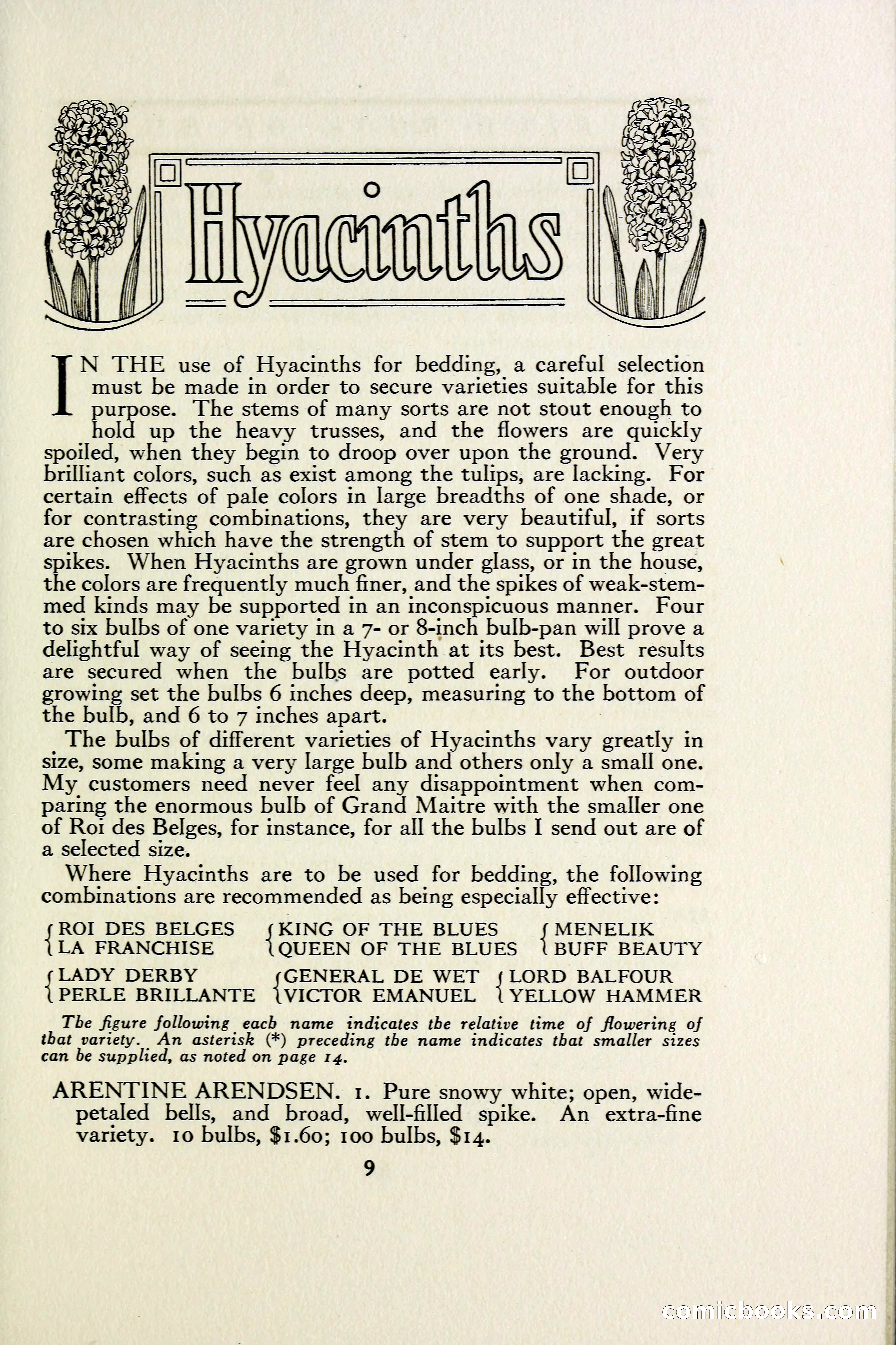 The Blue Book of Bulbs — page 16 of 97
