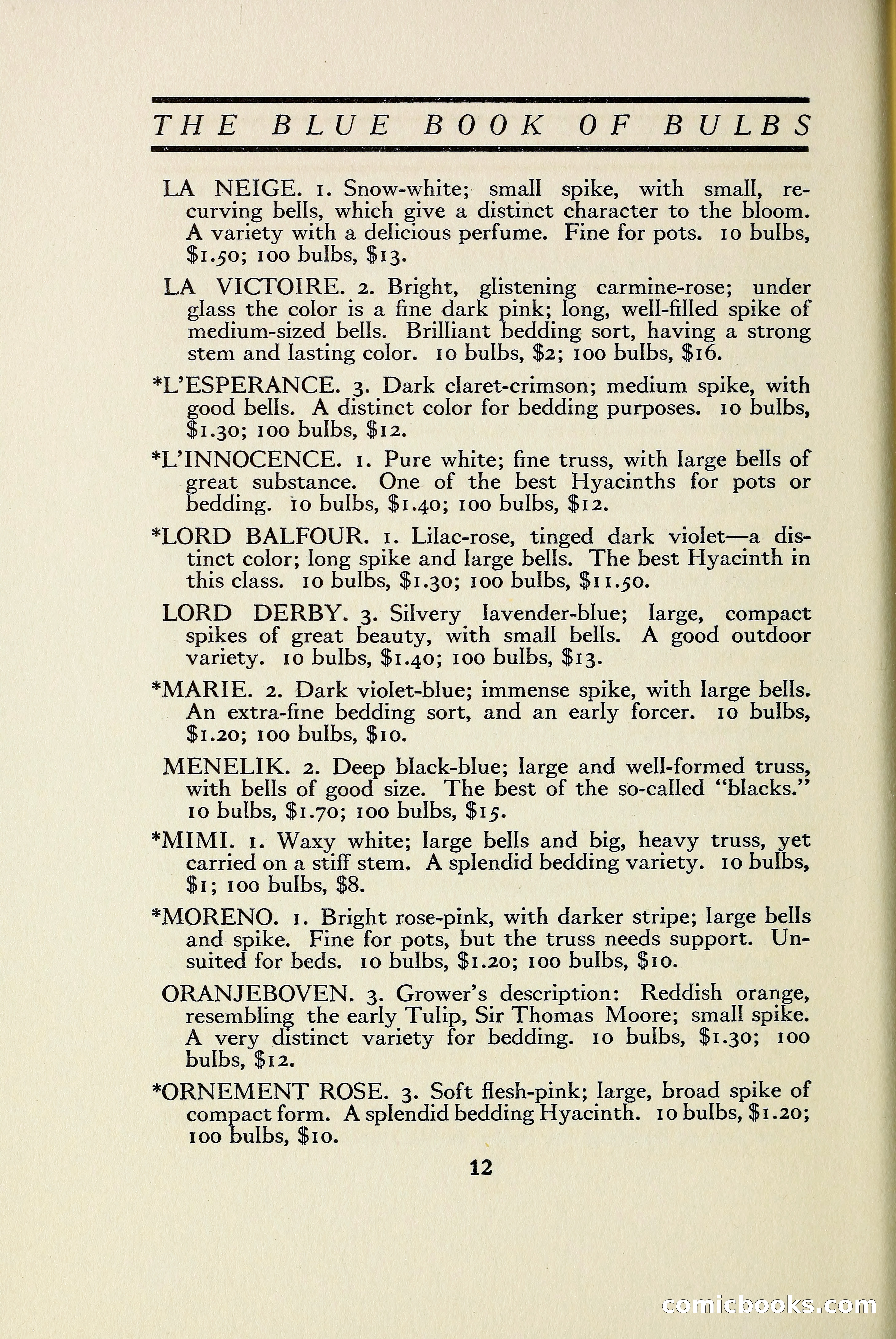 The Blue Book of Bulbs — page 19 of 97