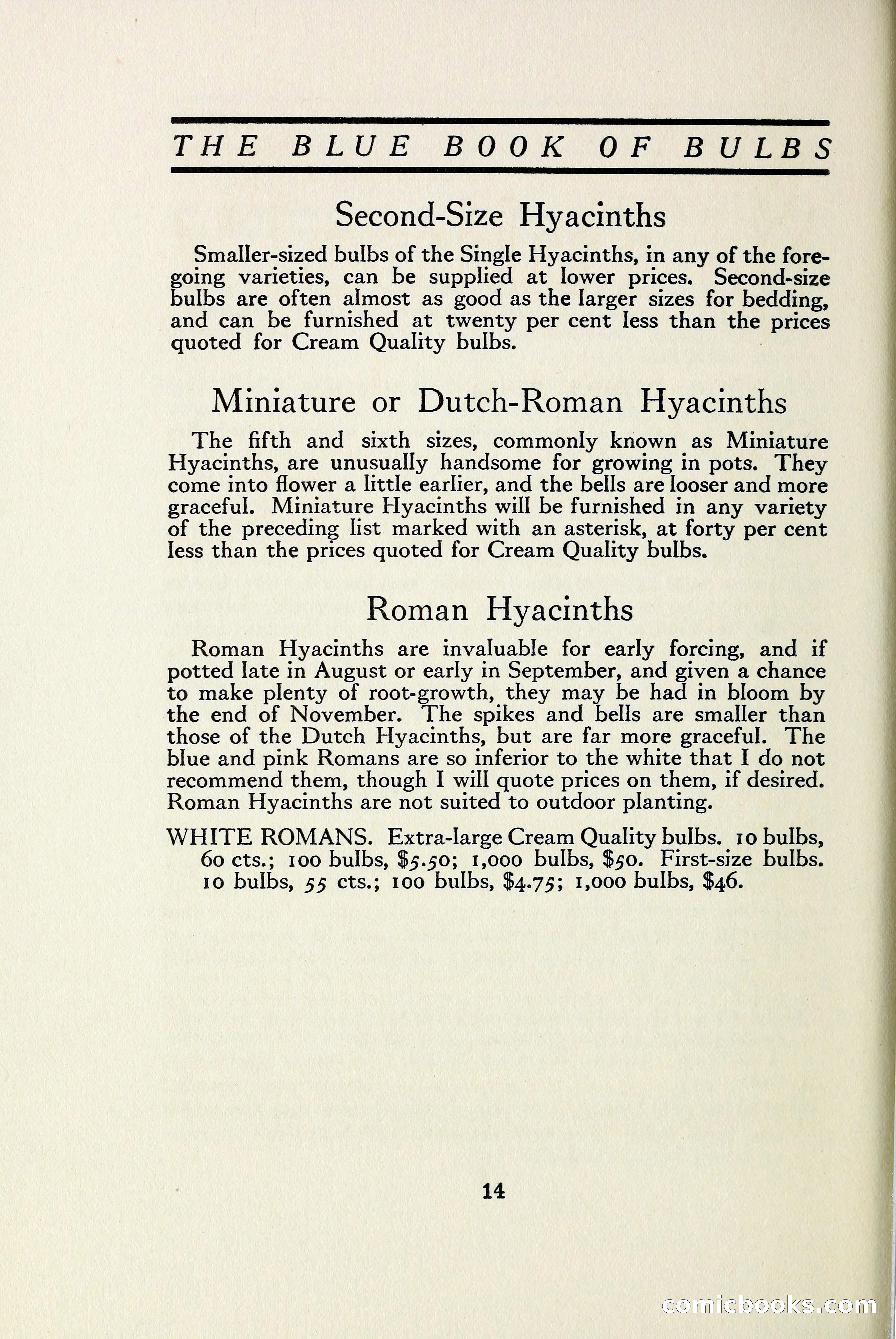 The Blue Book of Bulbs — page 21 of 97