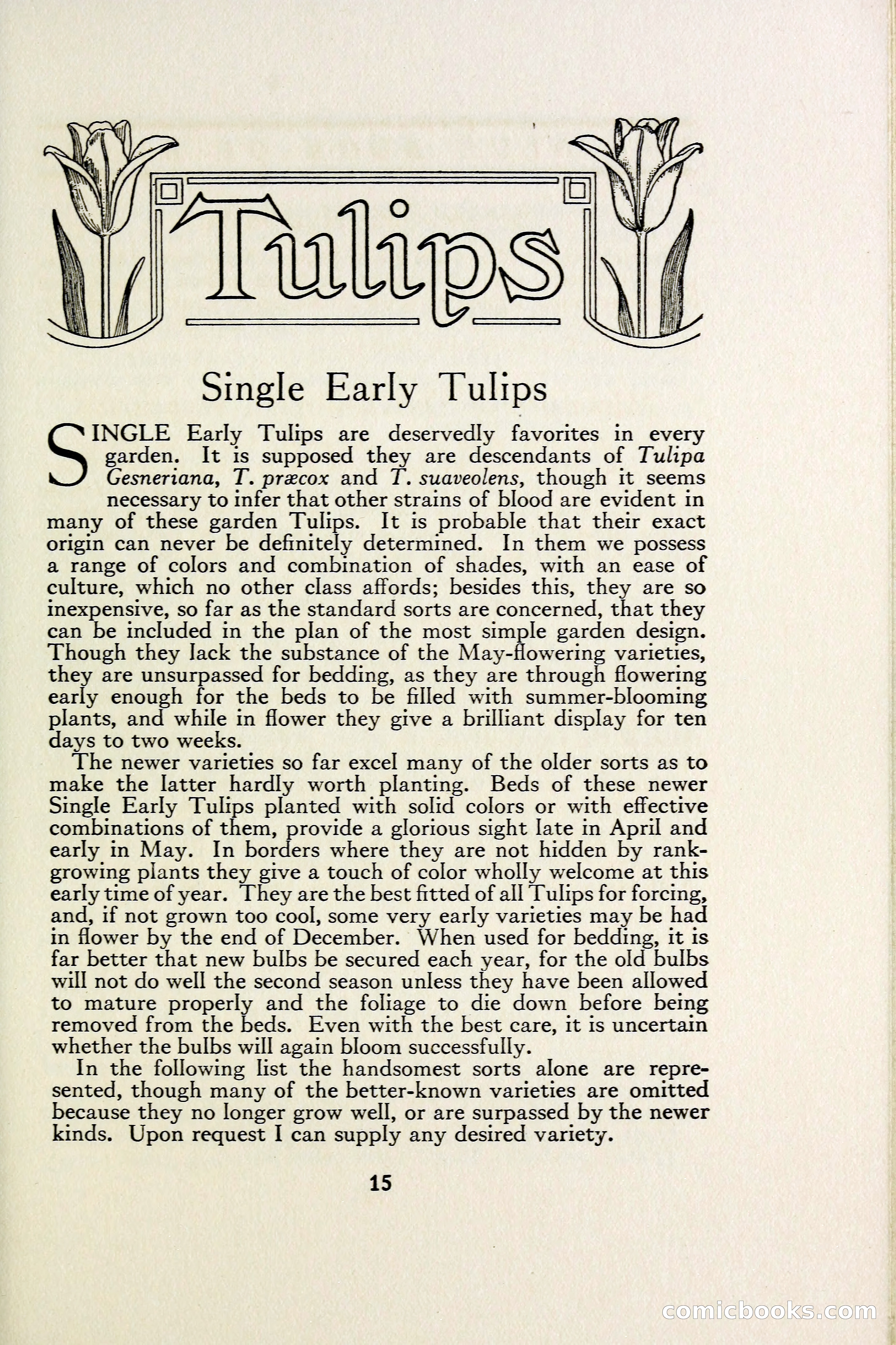 The Blue Book of Bulbs — page 22 of 97