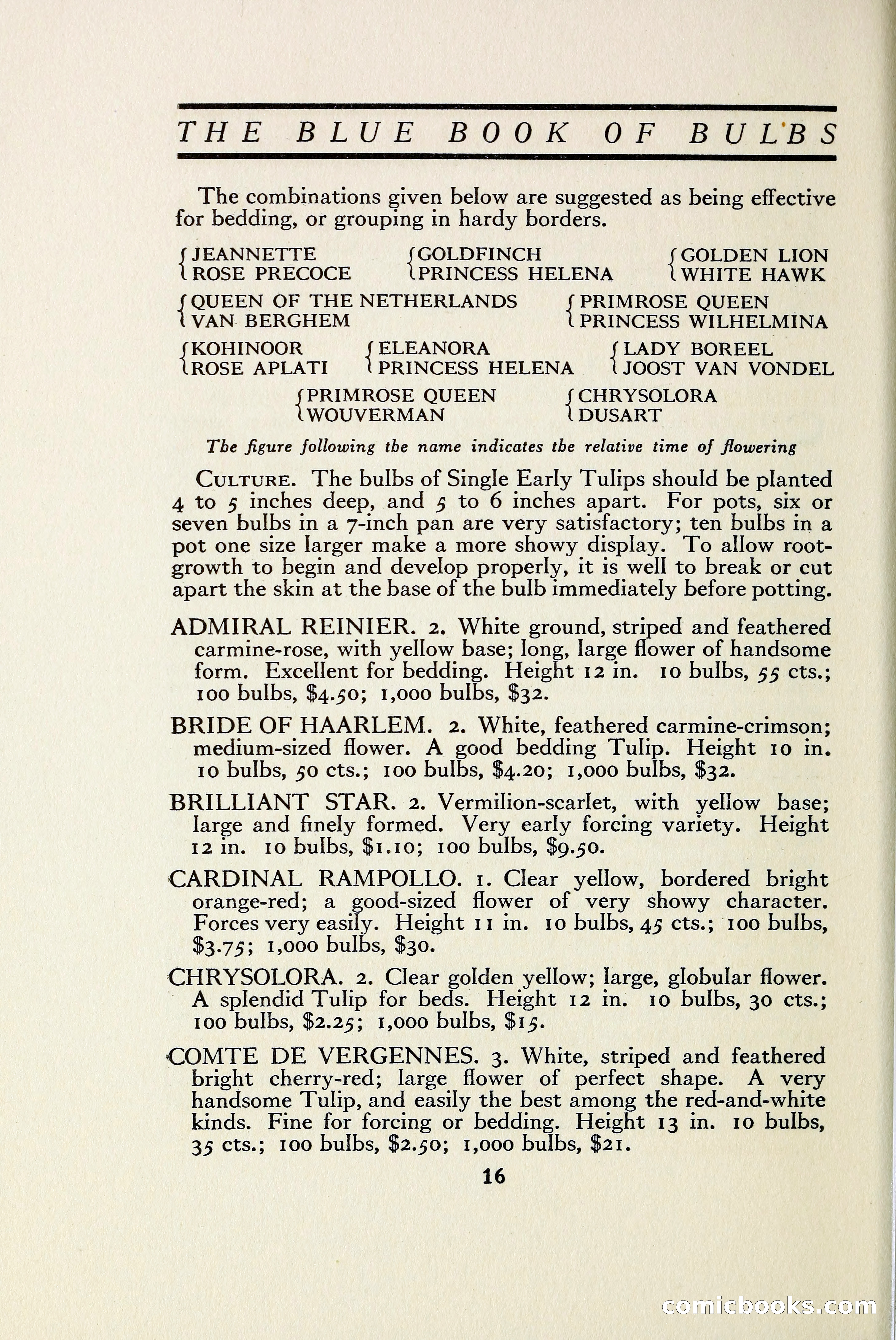 The Blue Book of Bulbs — page 23 of 97