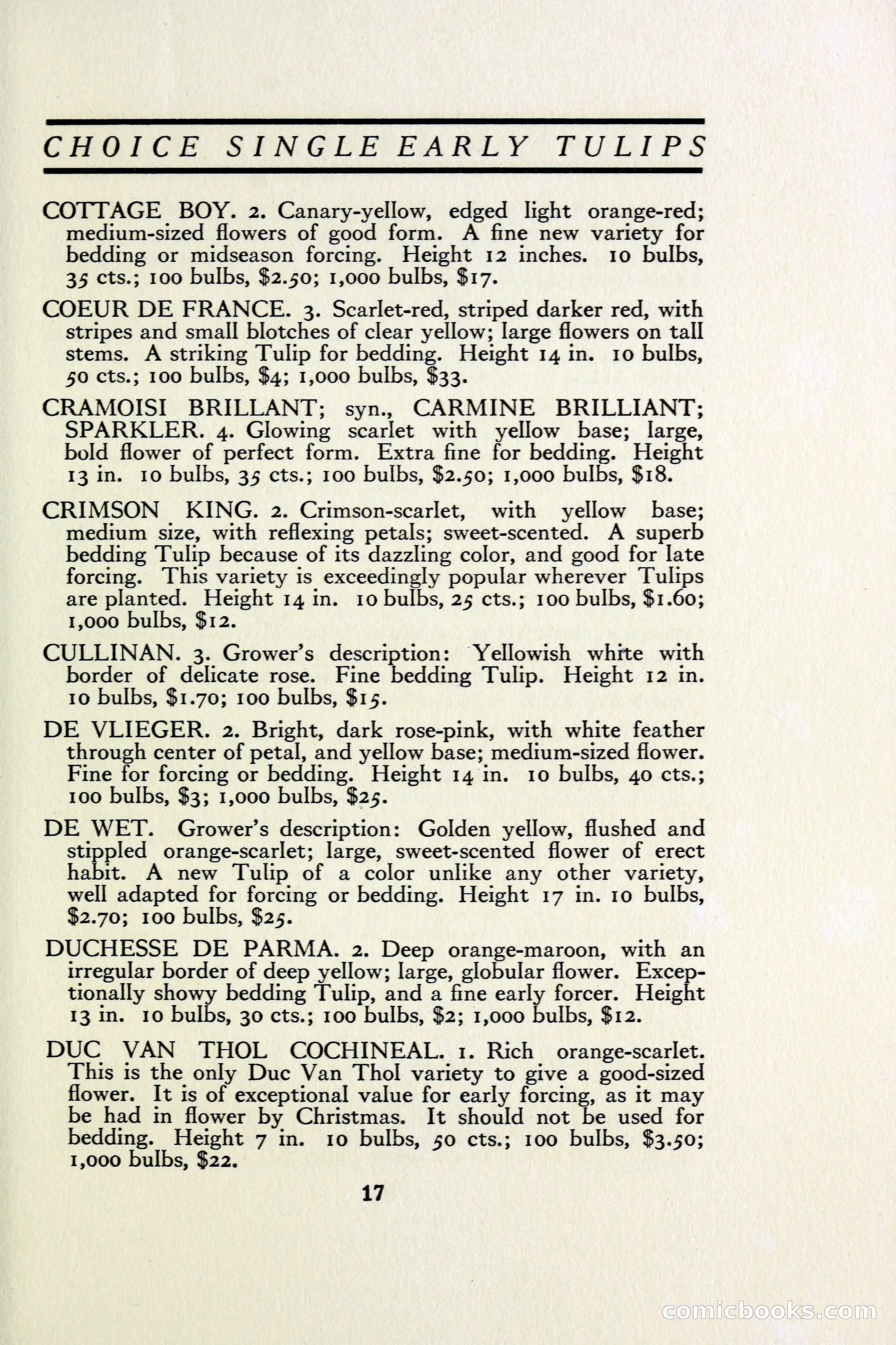 The Blue Book of Bulbs — page 24 of 97