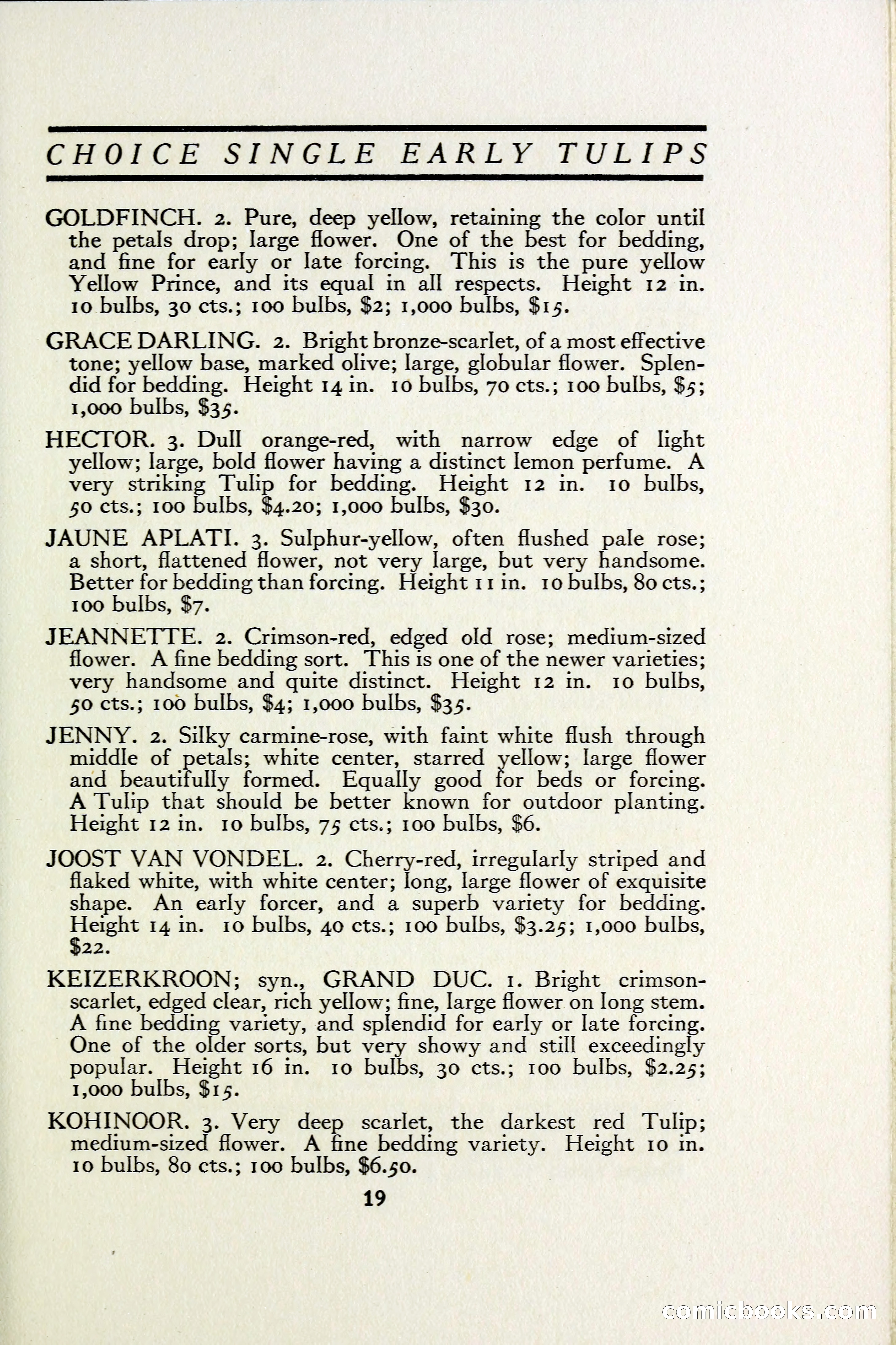 The Blue Book of Bulbs — page 26 of 97