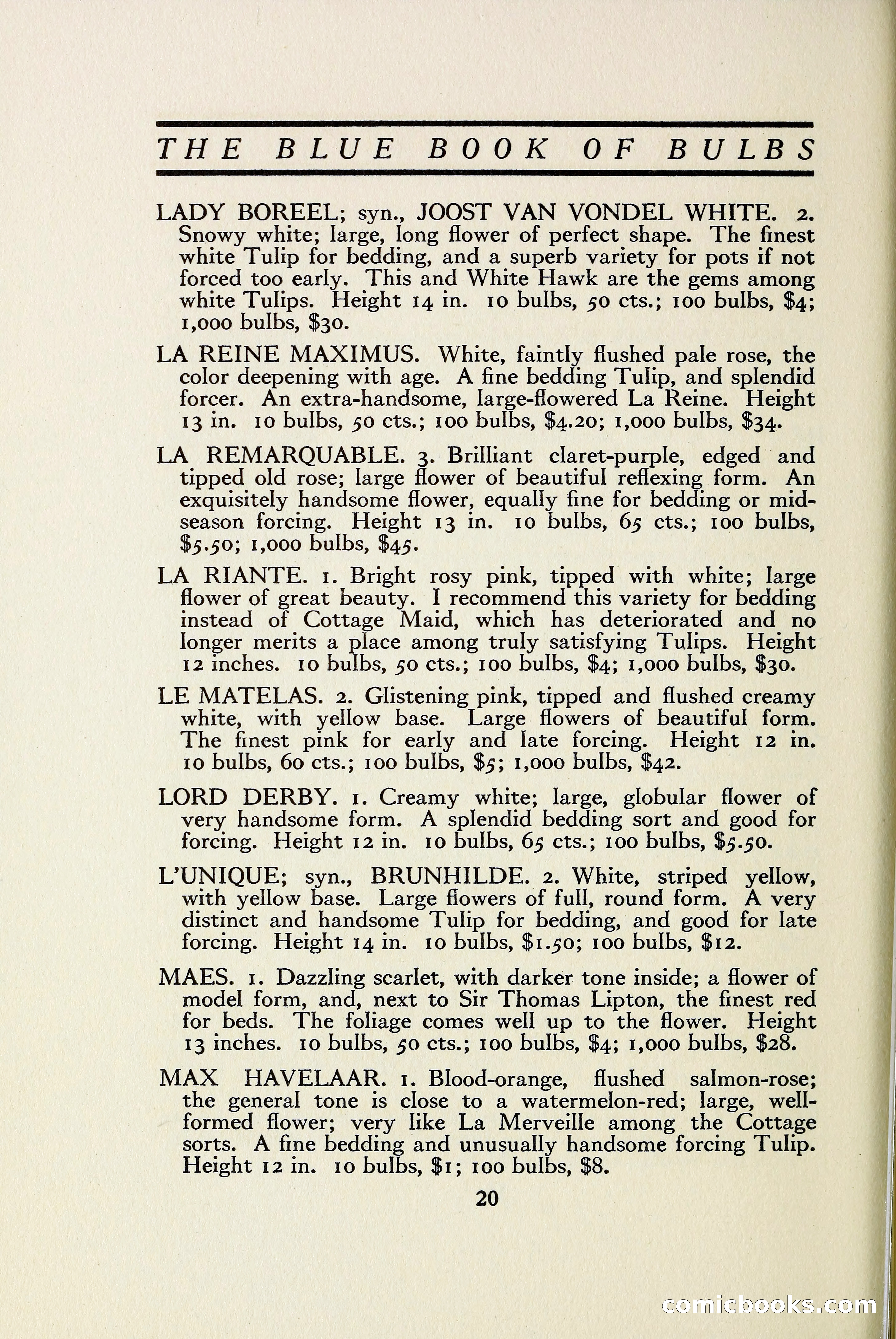 The Blue Book of Bulbs — page 27 of 97