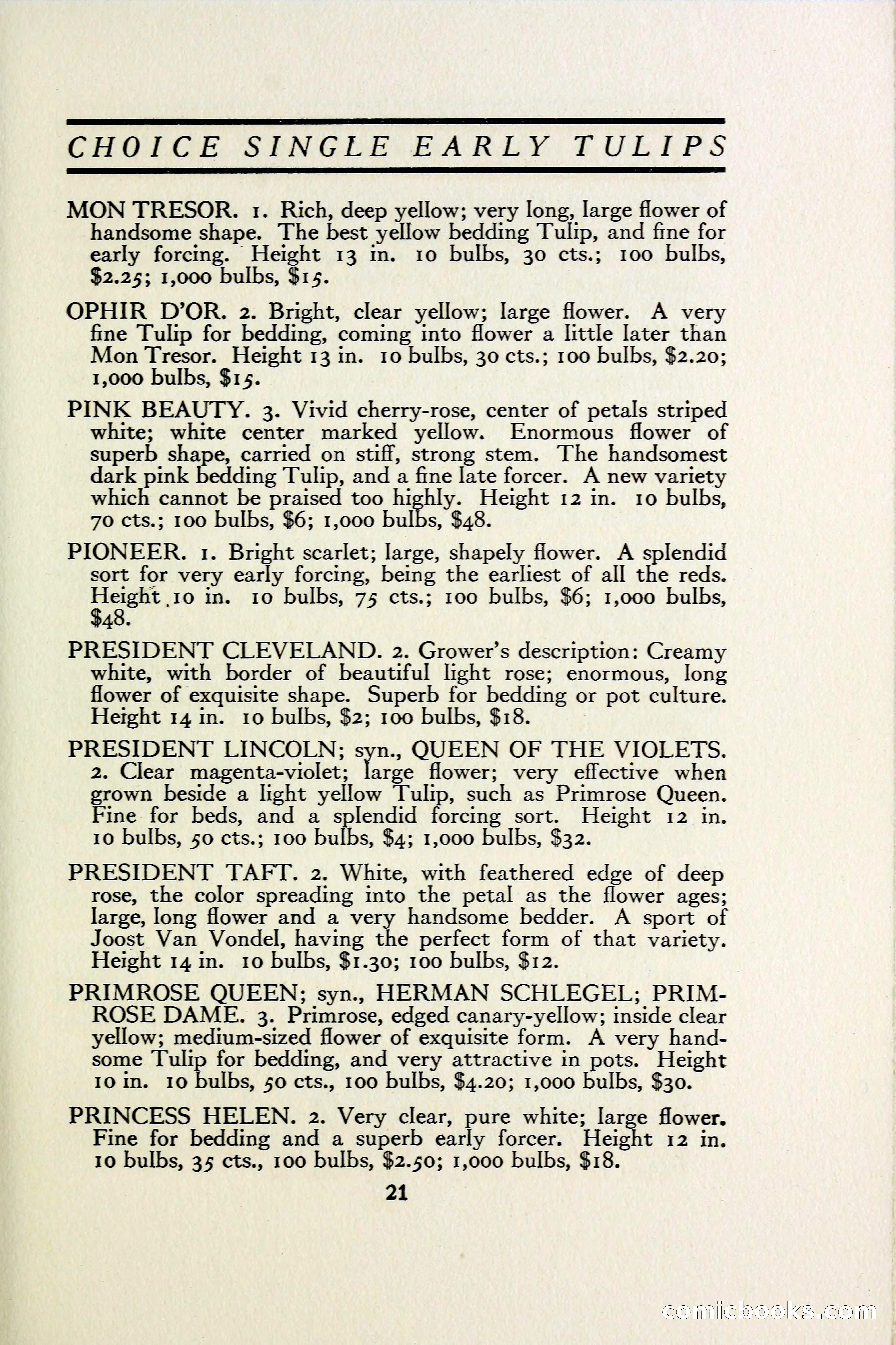 The Blue Book of Bulbs — page 28 of 97