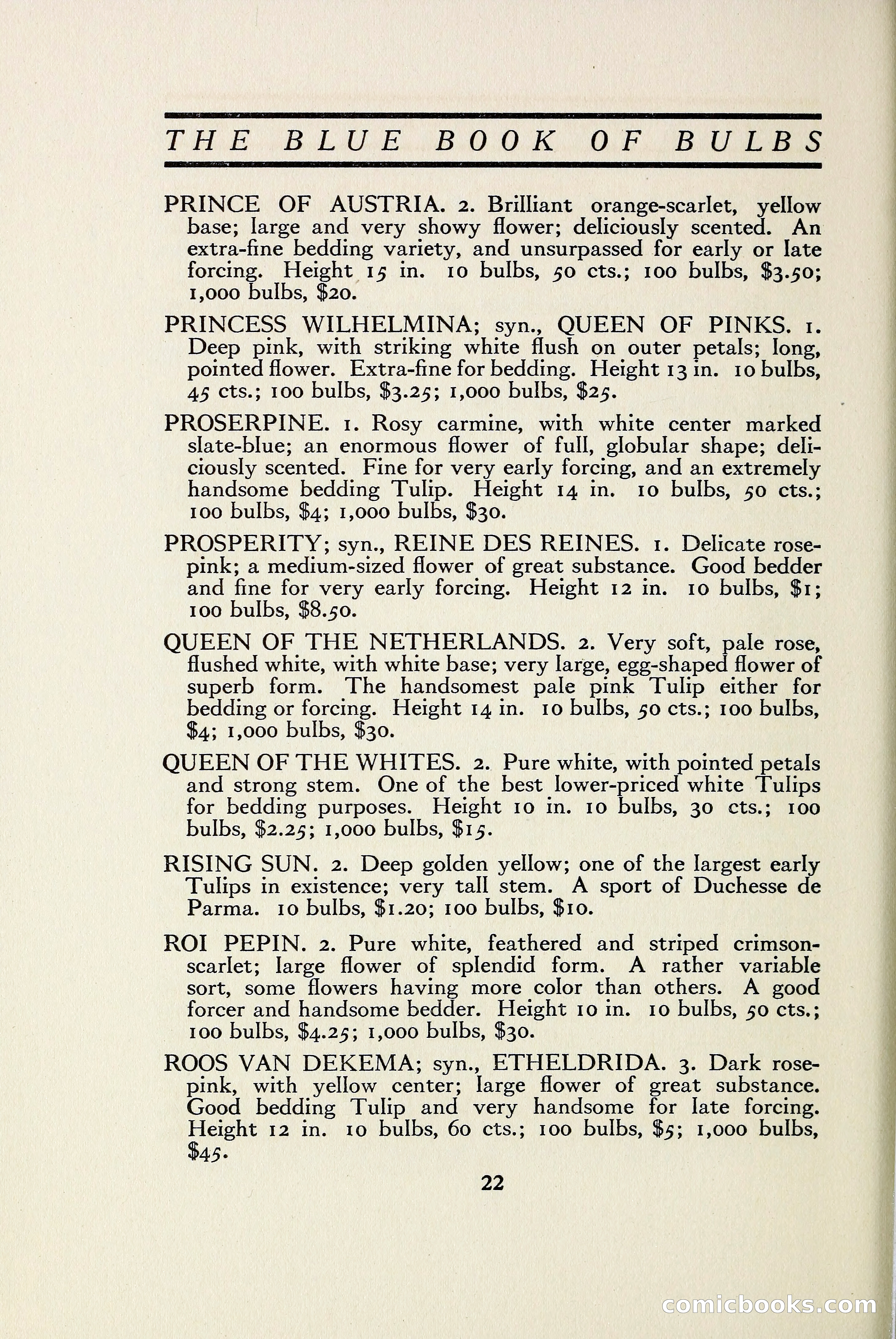 The Blue Book of Bulbs — page 29 of 97