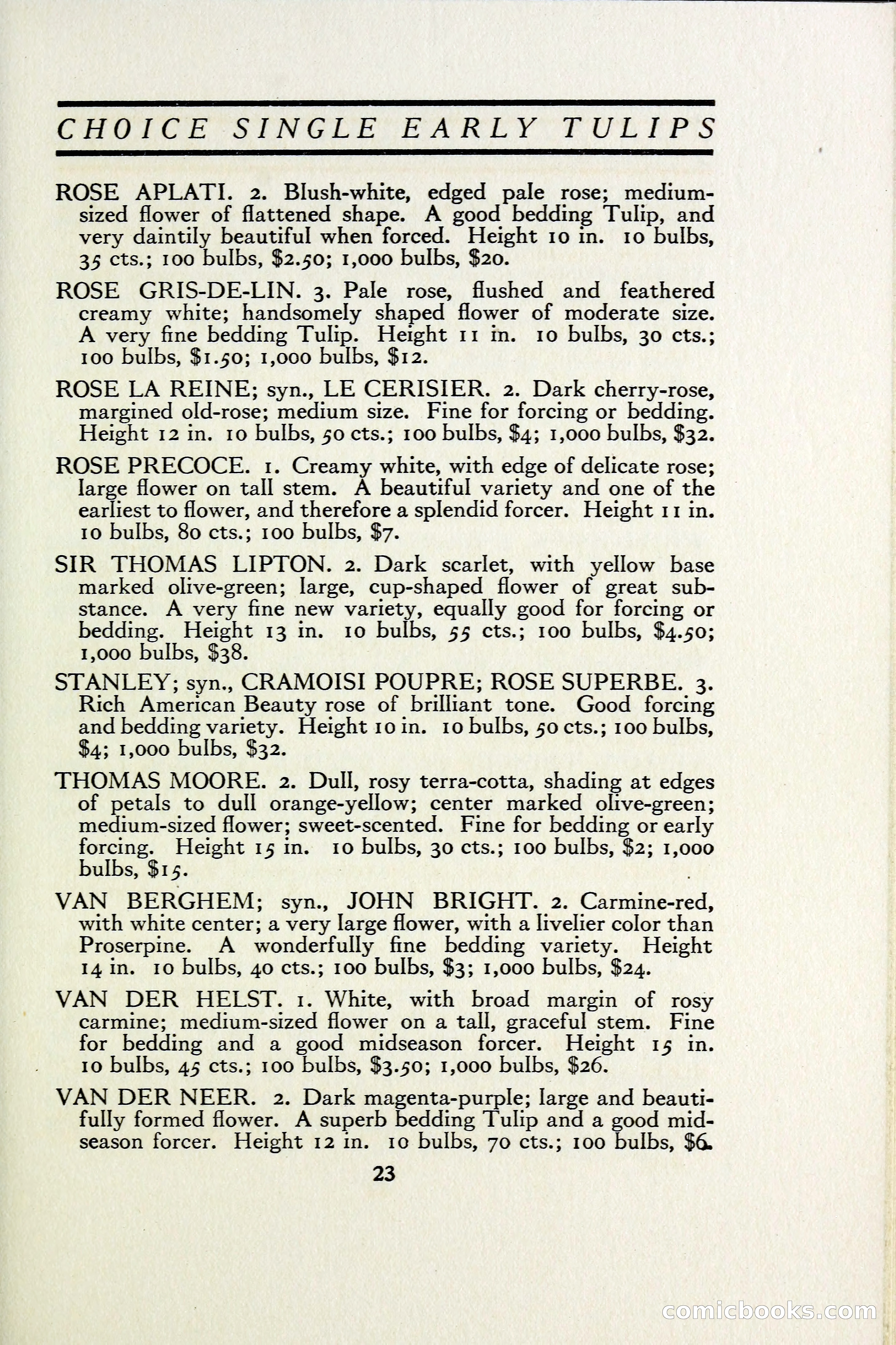 The Blue Book of Bulbs — page 30 of 97