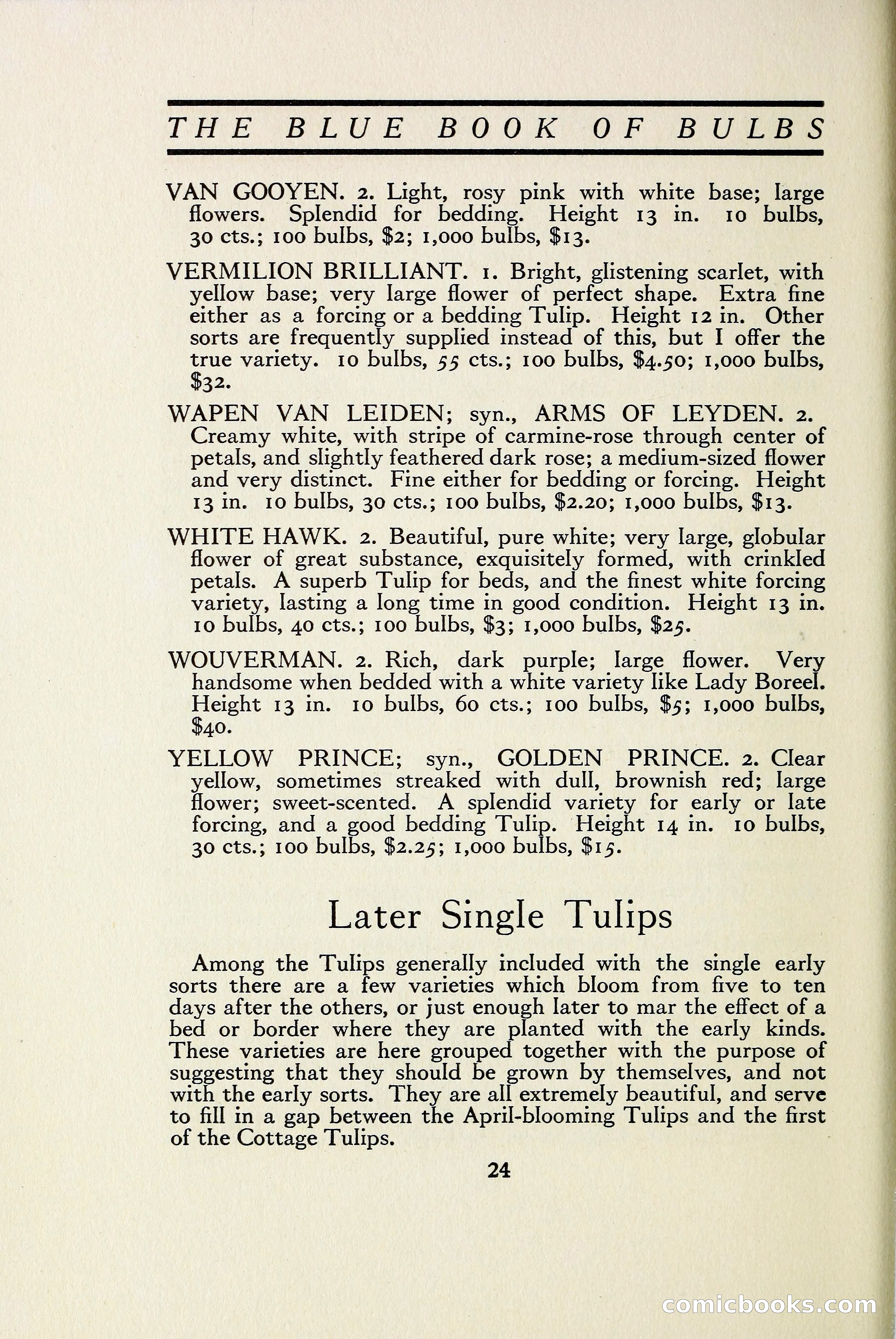 The Blue Book of Bulbs — page 31 of 97